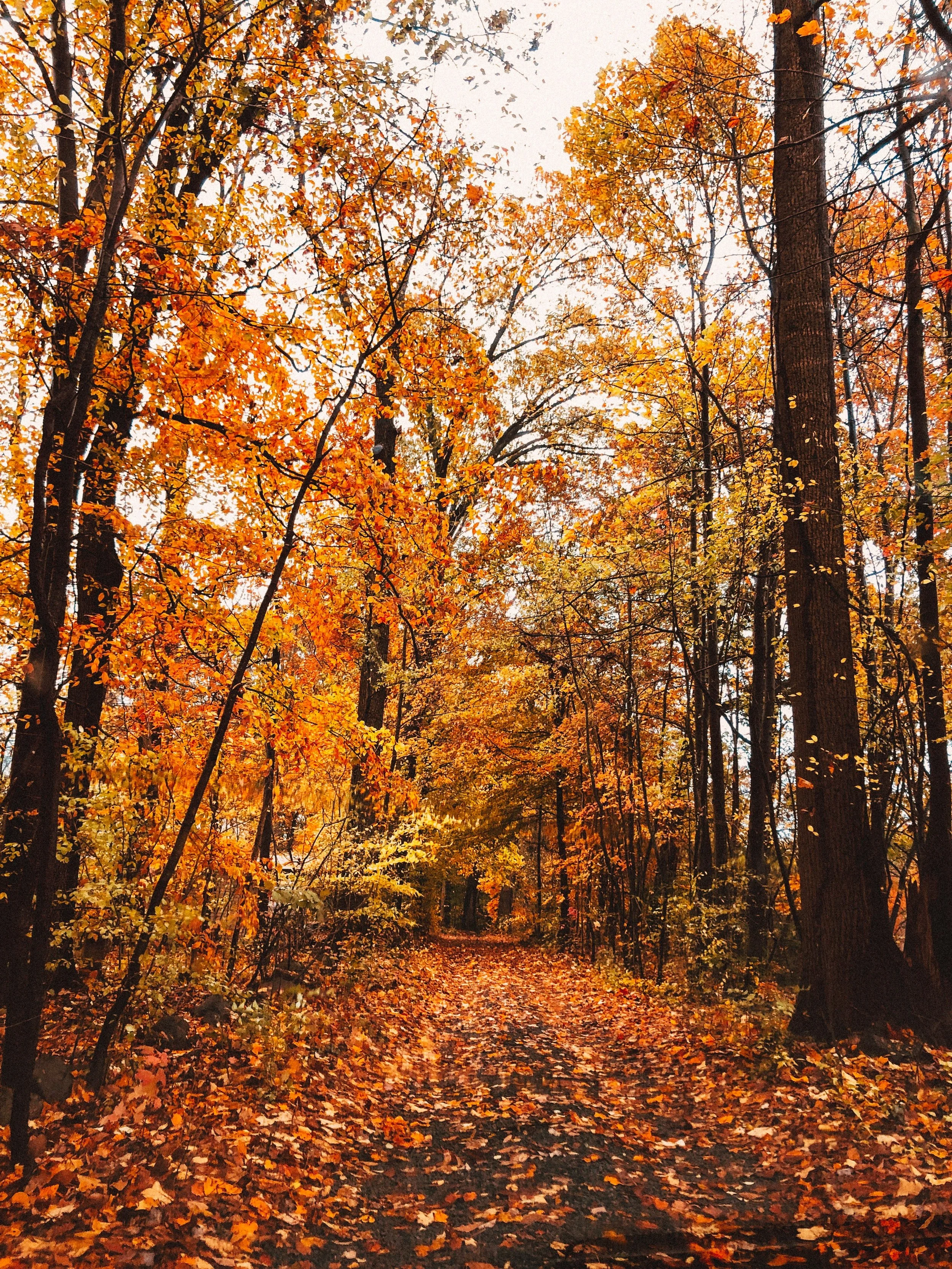 Maximizing Fall Fundraising