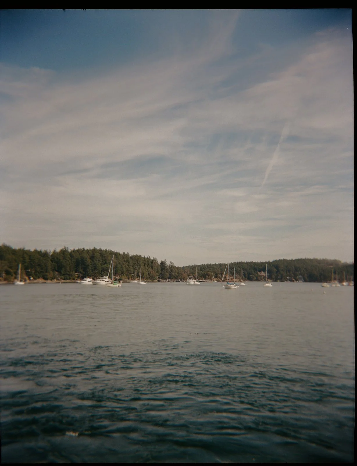 Roche-Harbor-Resort-Wedding-Photographer-Film-Documentary-San-Juan-Islands-Washington-61.jpg