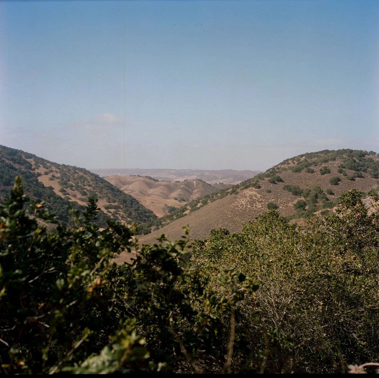 Zaca-Lake-Film-Wedding-Photographer-California-Santa-Ynez-Documentary-53.jpg