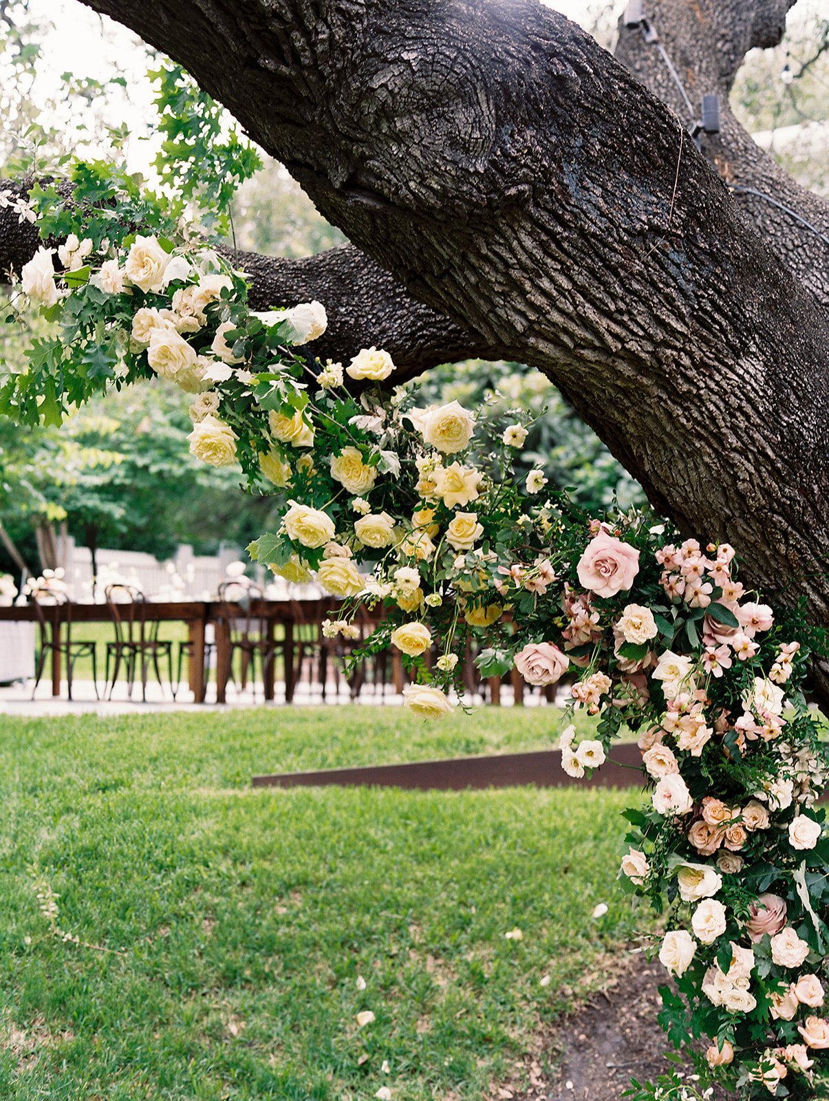 Best-Austin-Wedding-Photographers-Elopement-Film-35mm-Asheville-Santa-Barbara-Hotel-Saint-Cecilia-46.jpg