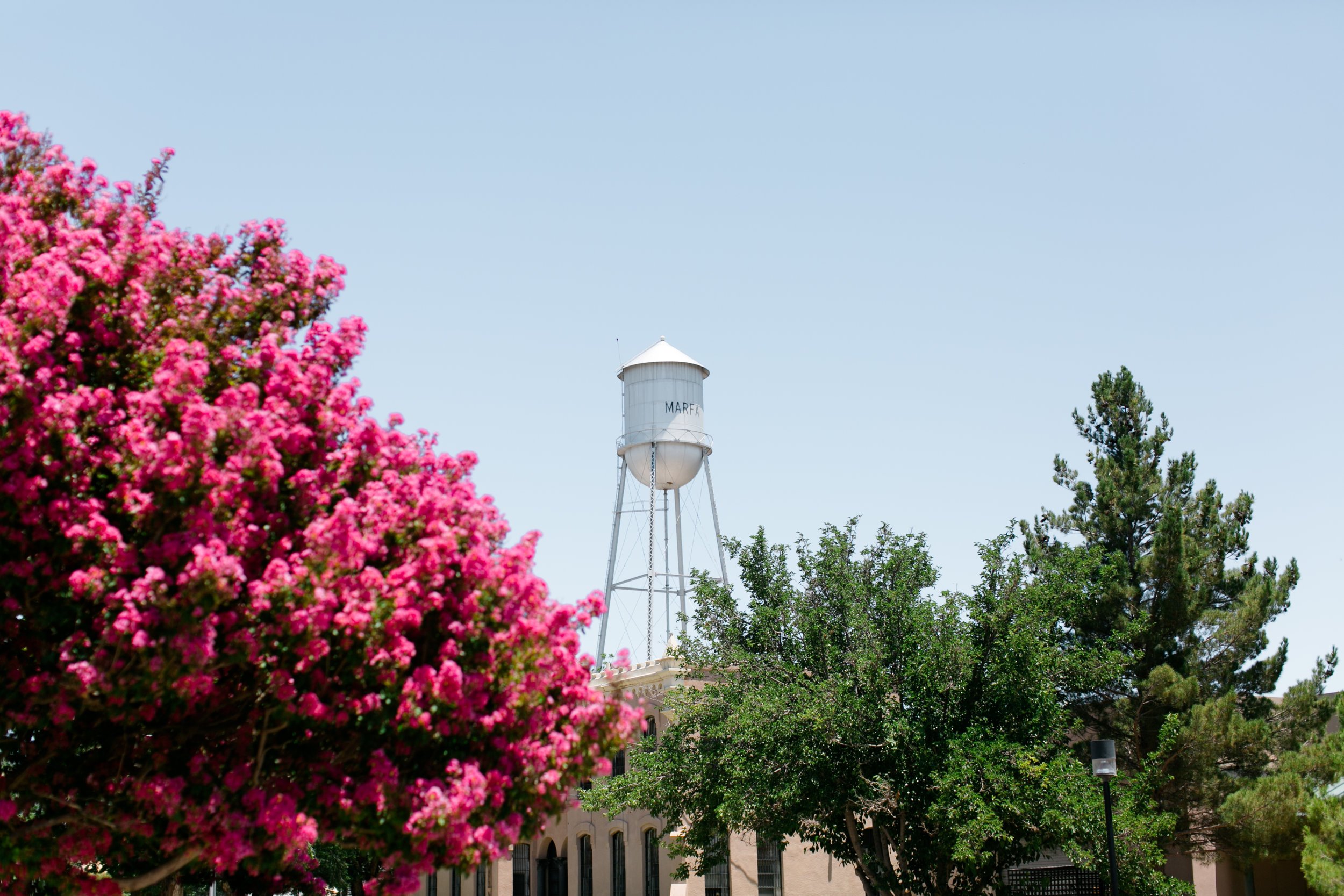 Best-Austin-Texas-Marfa-Wedding-Photographers-fine-art-film-5.jpg