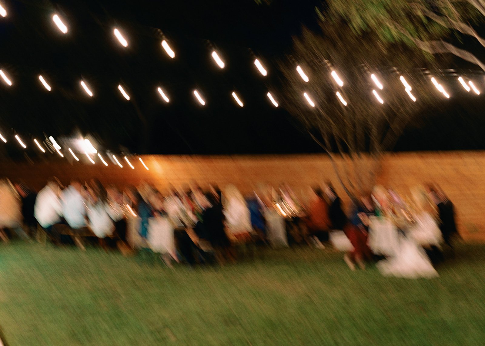 Best-Austin-Wedding-Photographers-Elopement-Film-35mm-Asheville-Santa-Barbara-Backyard-178.jpg
