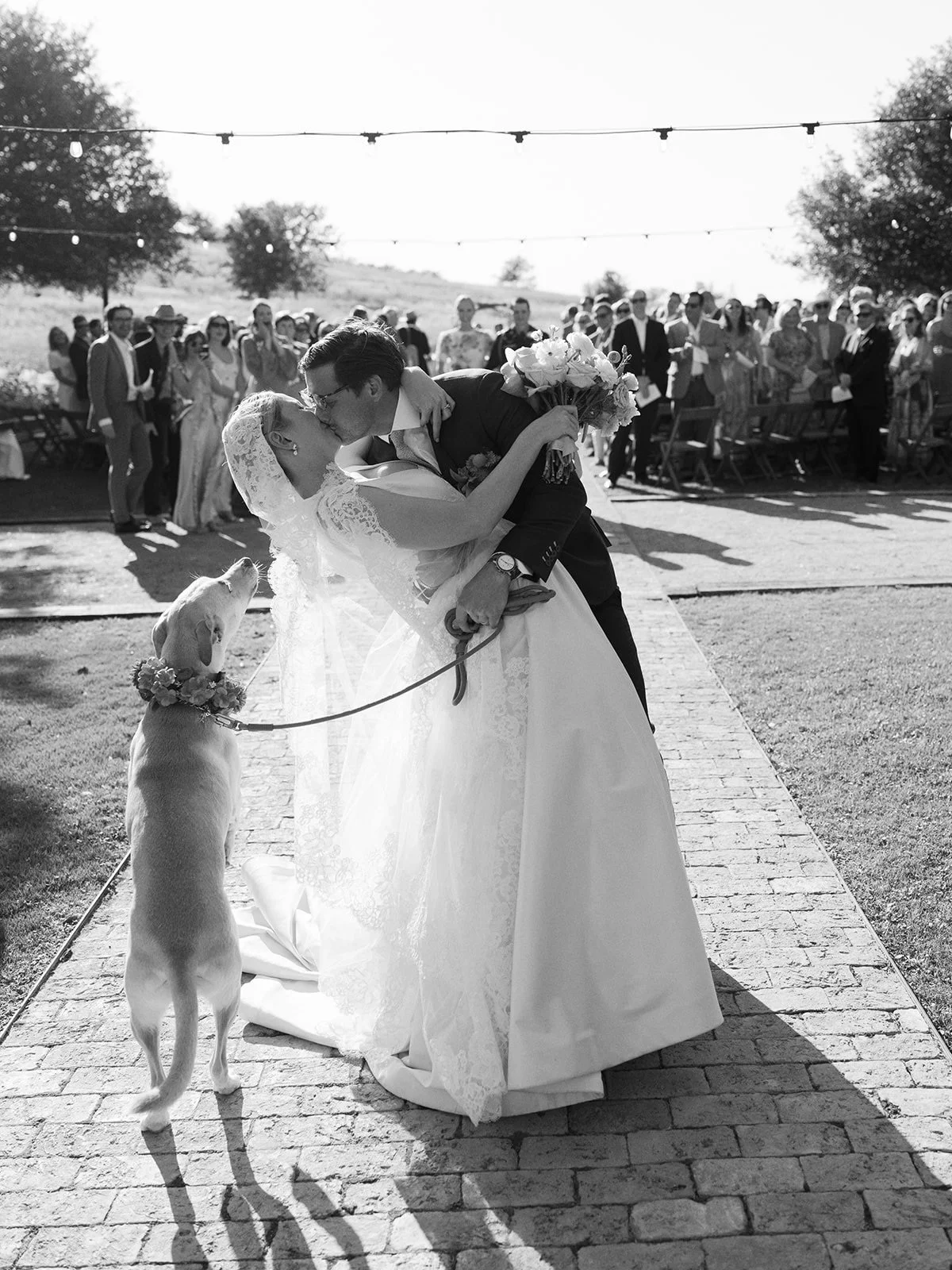 I&rsquo;m starting to see a theme with the recent work I&rsquo;ve posted 👀🐕💓