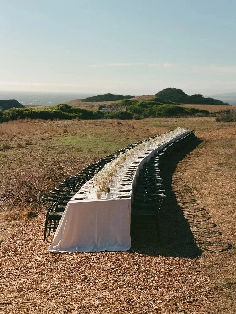 Everyone is invited for dinner 🤍