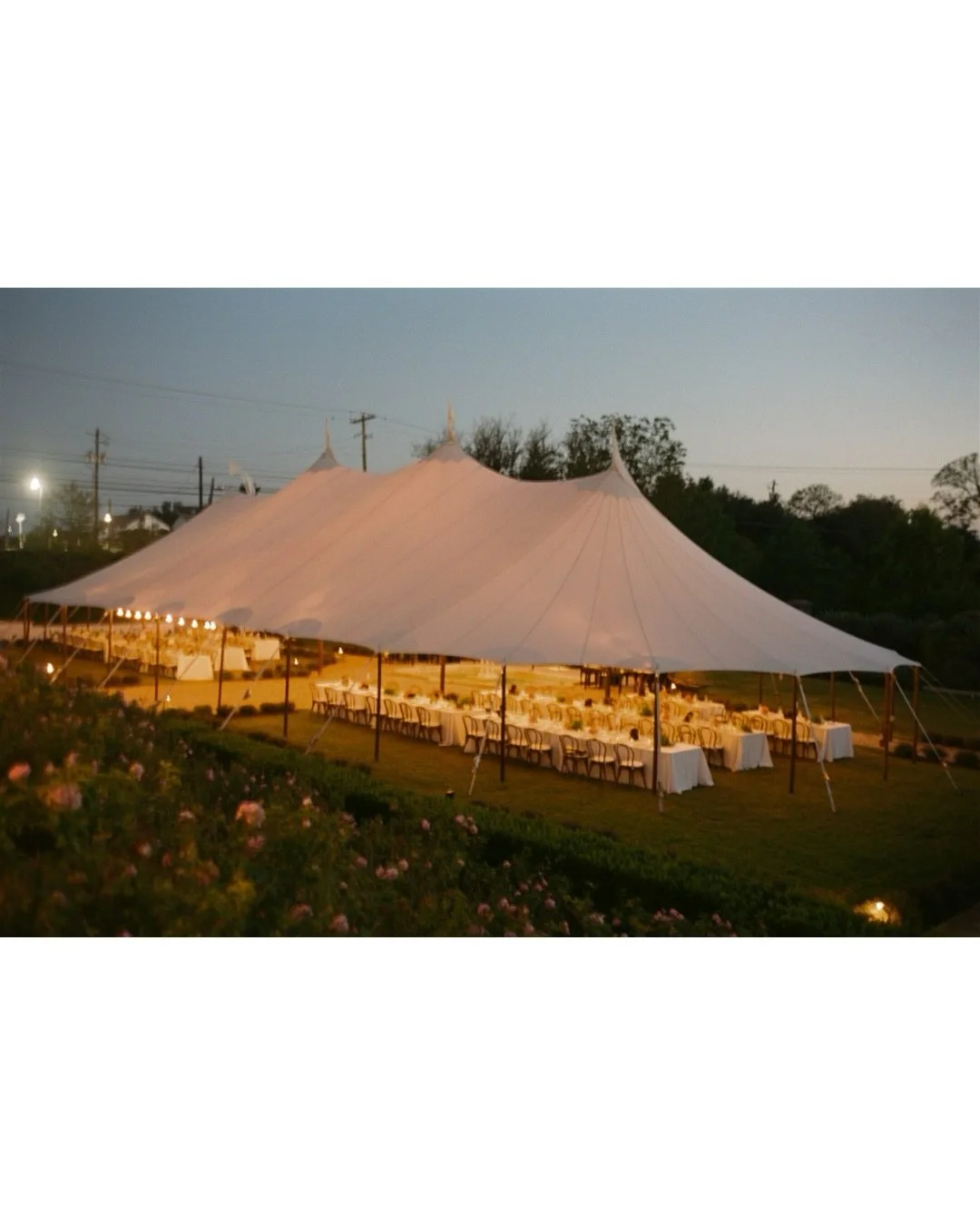 Dinner details &amp; moments from Neha &amp; Ben&rsquo;s gorgeous wedding at @commodoreperryauberge with @whitt_ross &amp; @weareloam 🌼 The magician and typewriter poets were such a hit!