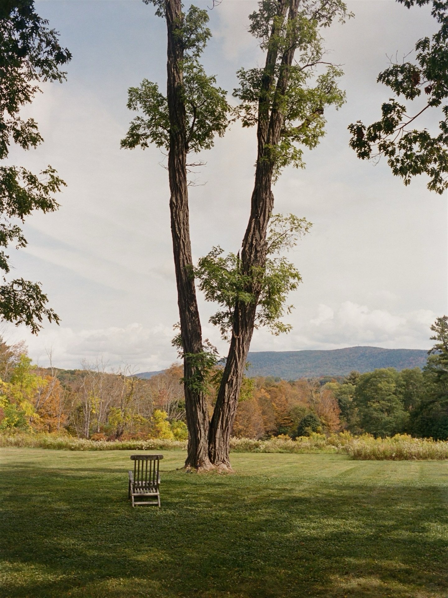 A lovely day in The Berkshires with Hannah &amp; Peter 🦢