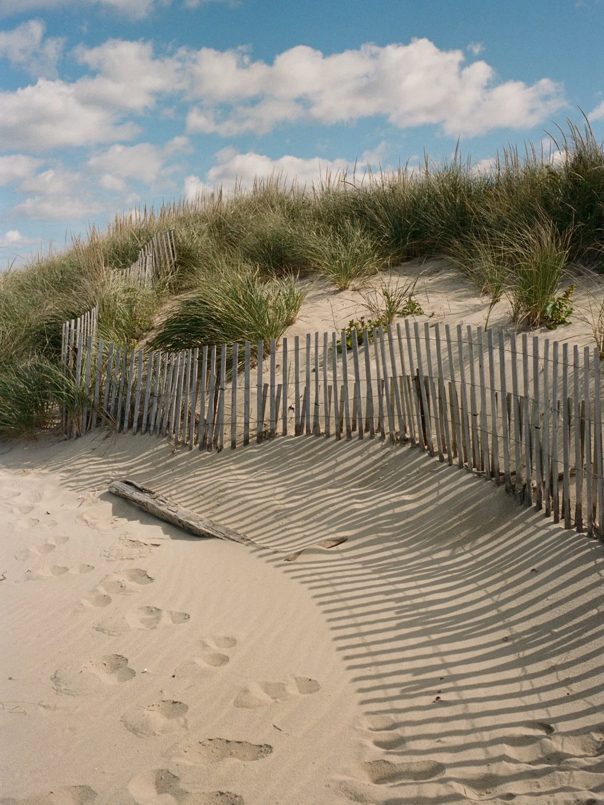 Lainey & Daniel Wedding-1.jpg