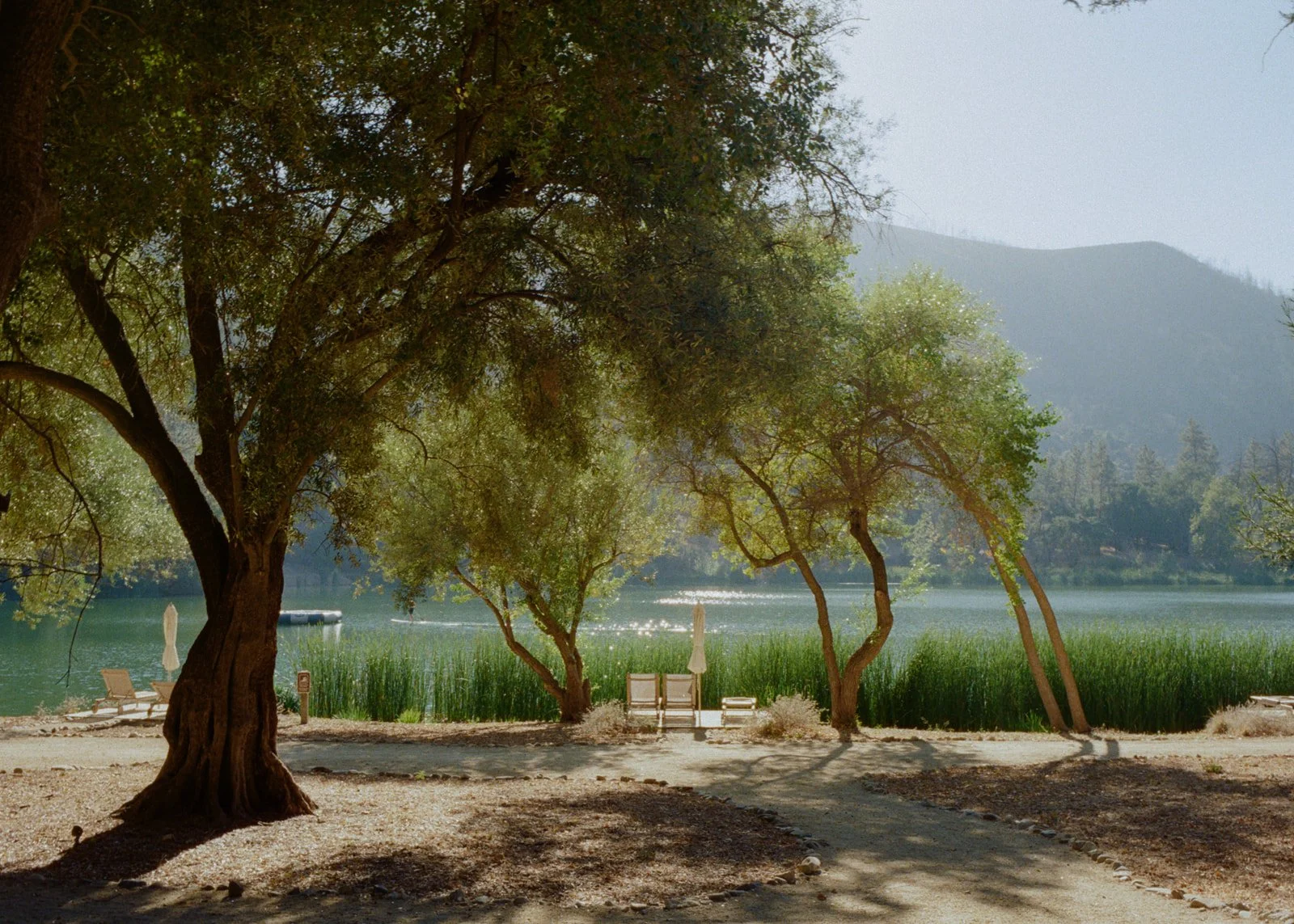 Zaca-Lake-Film-Wedding-Photographer-California-Santa-Ynez-Documentary-21.jpg