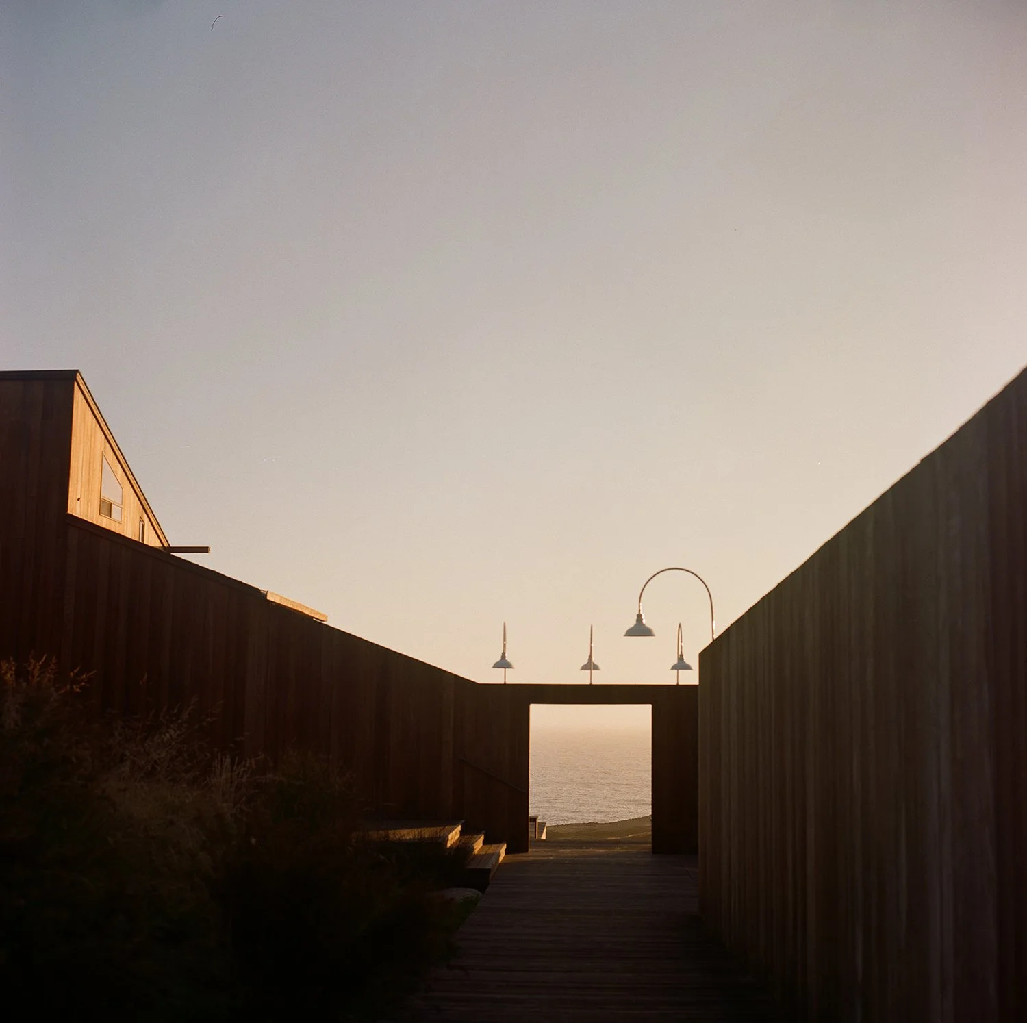 kodak_professional_portra_400_12_16_2024_000400660001-2 copy.jpg