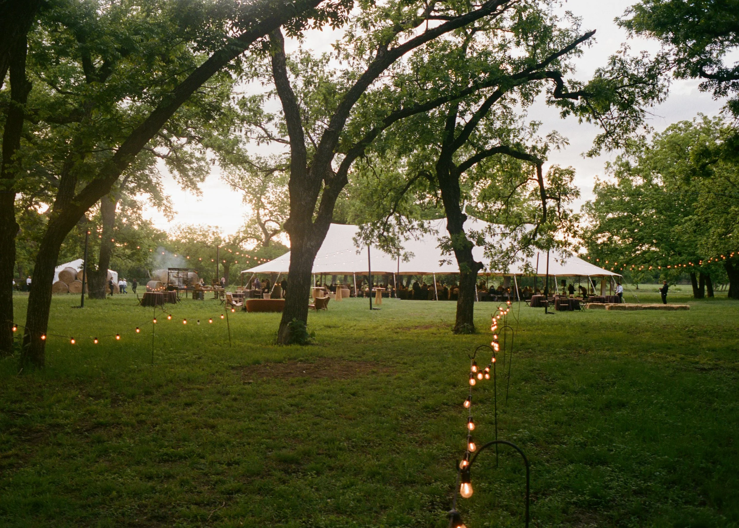 Texas-Film-Wedding-Photographer-Destination-Weddings-35mm-89.jpg