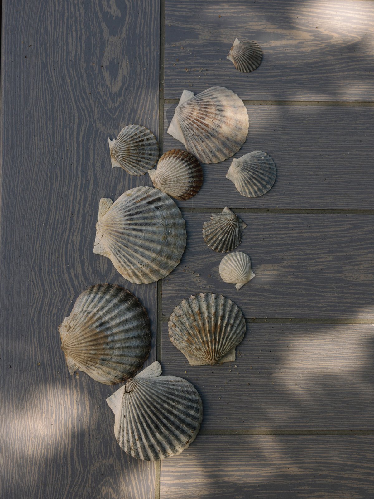 Lainey & Daniel Wedding-32.jpg