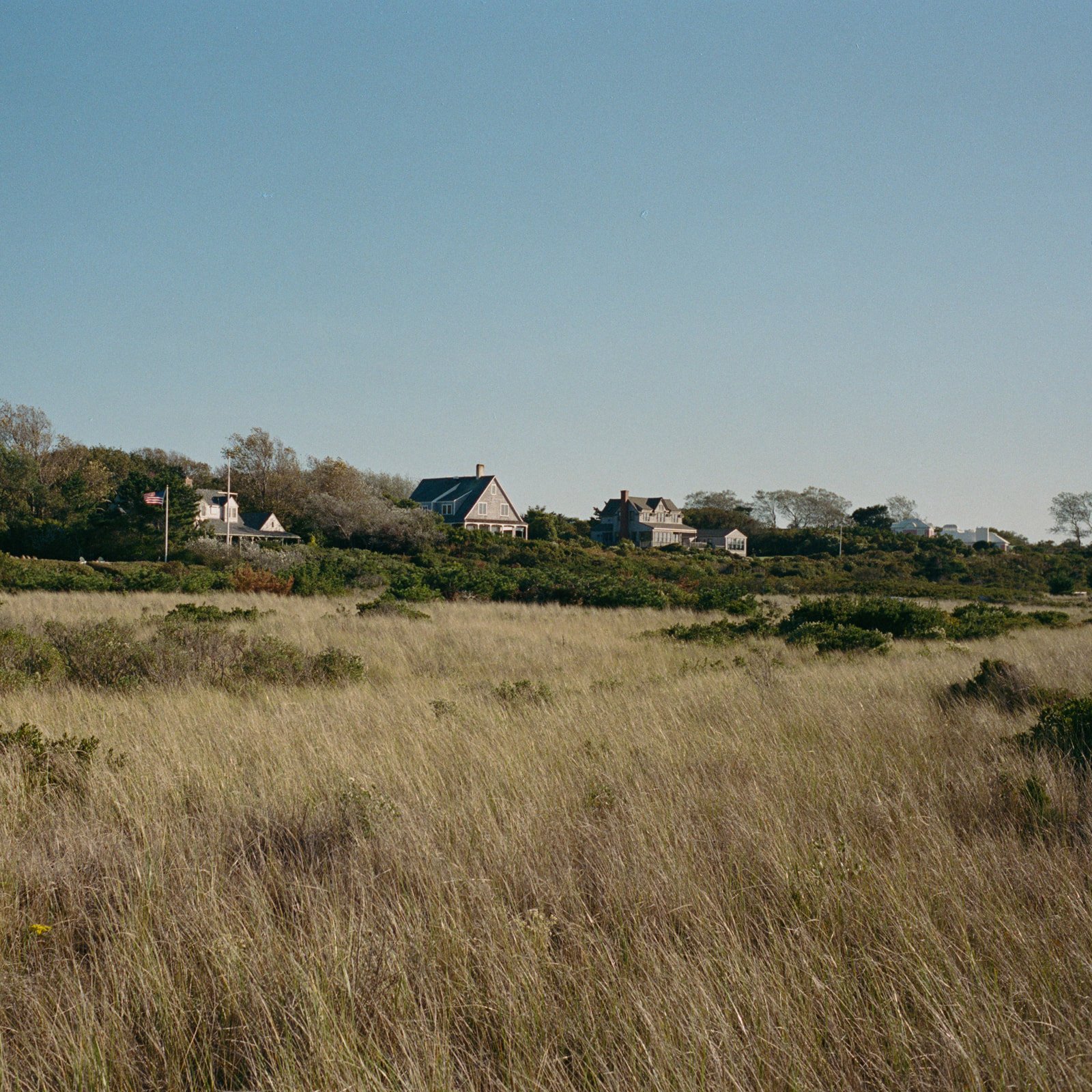 Lainey & Daniel Wedding-470.jpg