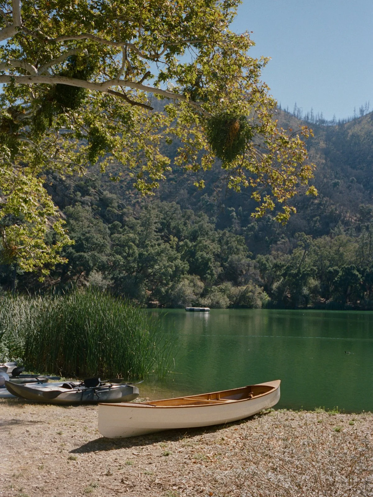 Zaca-Lake-Film-Wedding-Photographer-California-Santa-Ynez-Documentary-104.jpg