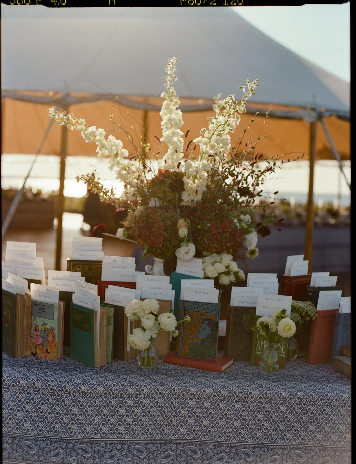 Lainey & Daniel Wedding-1024.jpg