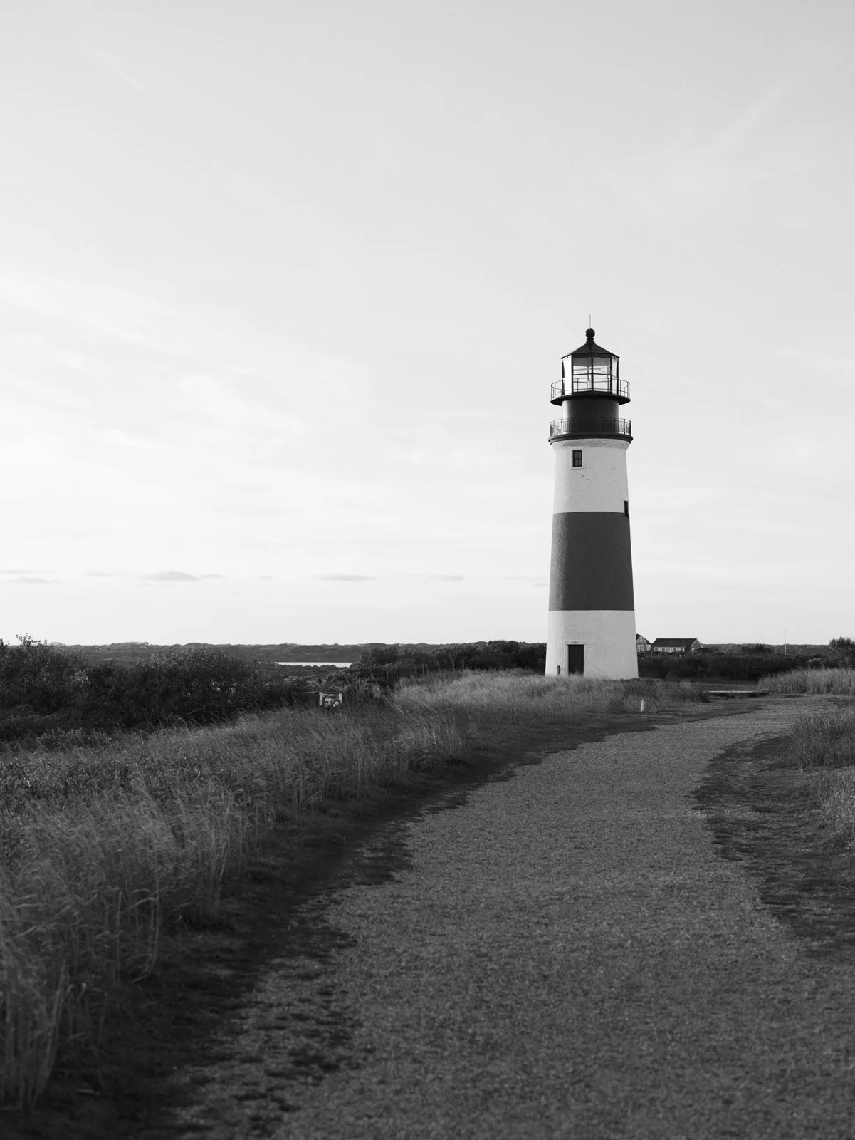 Lainey & Daniel Wedding-2.jpg