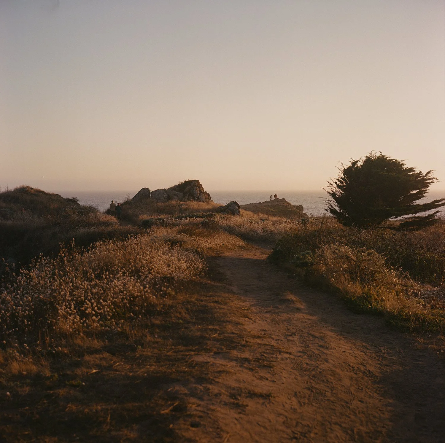 kodak_professional_portra_400_12_16_2024_000400660002-2 copy.jpg