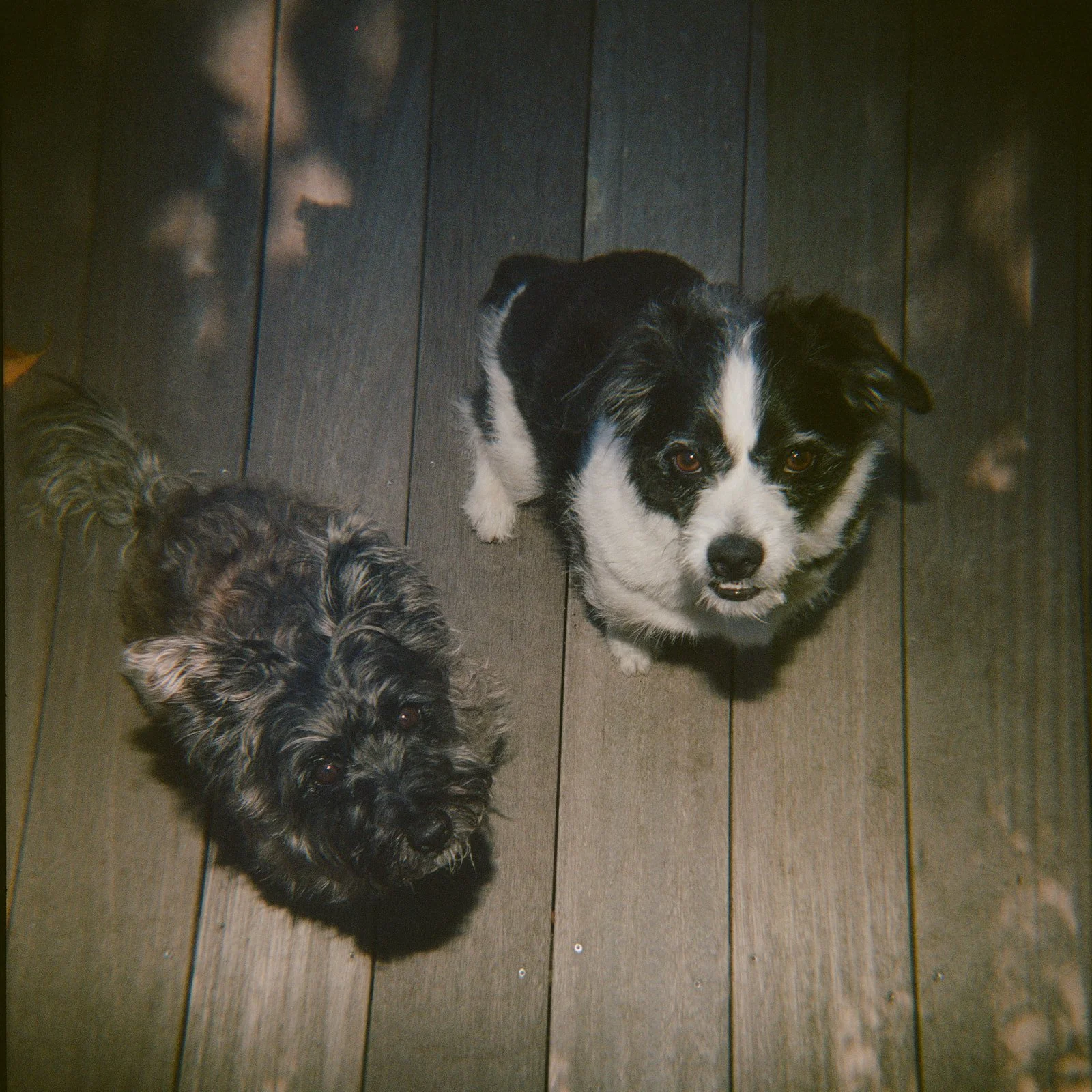 Lainey & Daniel Wedding-105.jpg