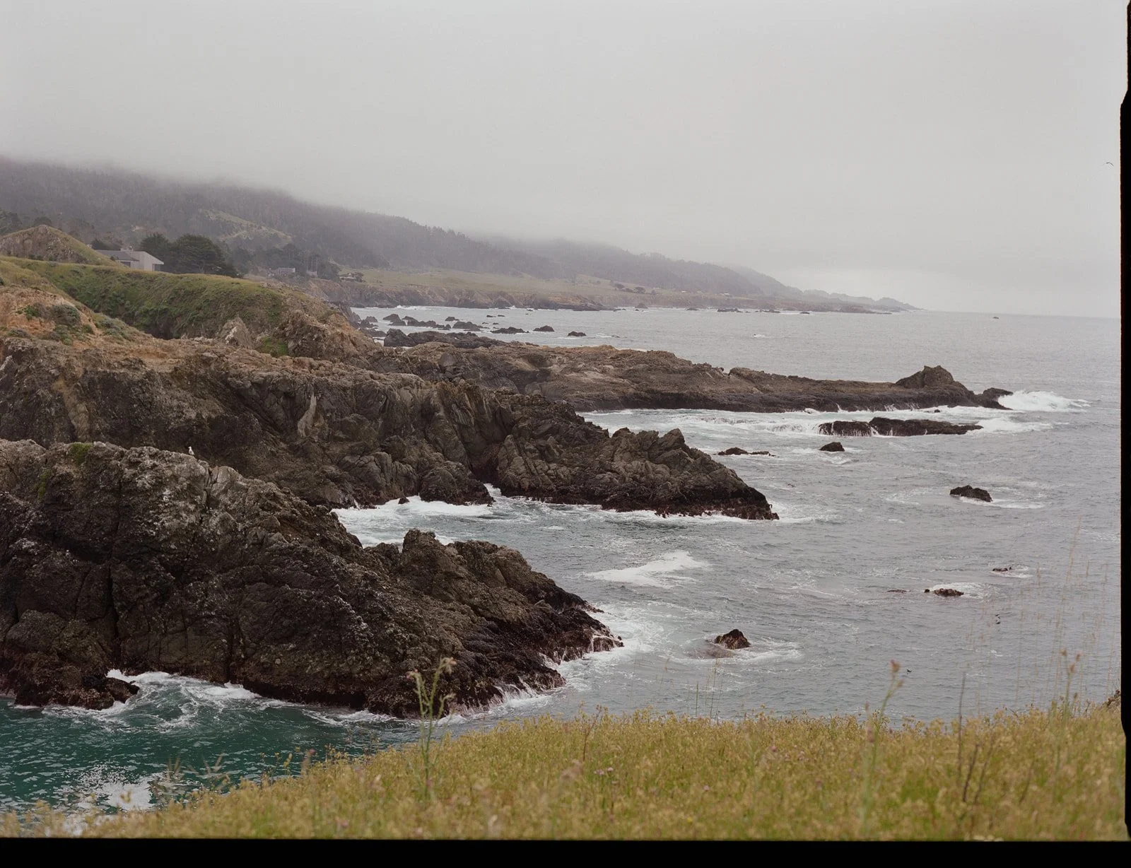intimate-wedding-sea-ranch-california-film-photographer-25.jpg