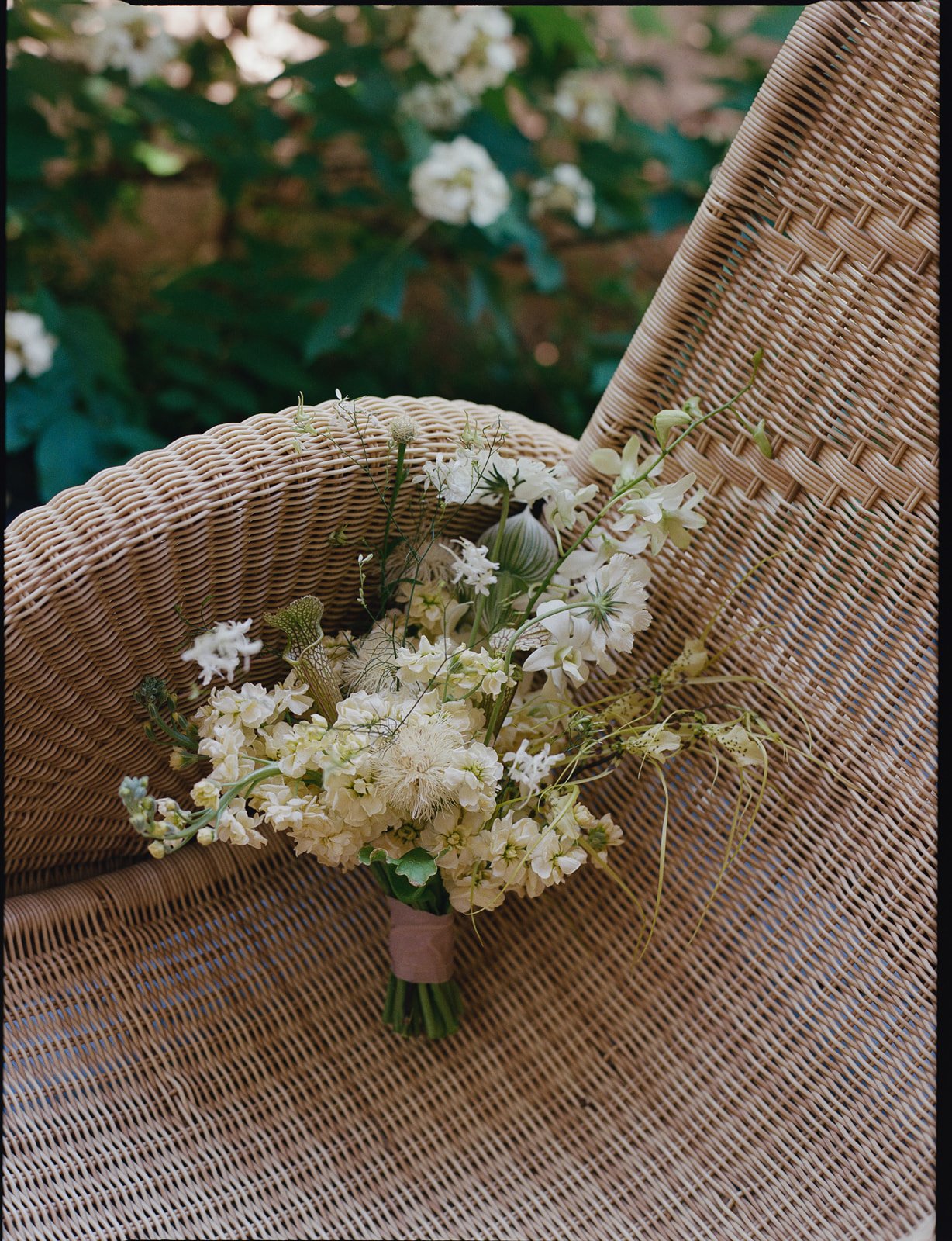 Austin-texas-international-Wedding-Photographer-35mm-film-52.jpg