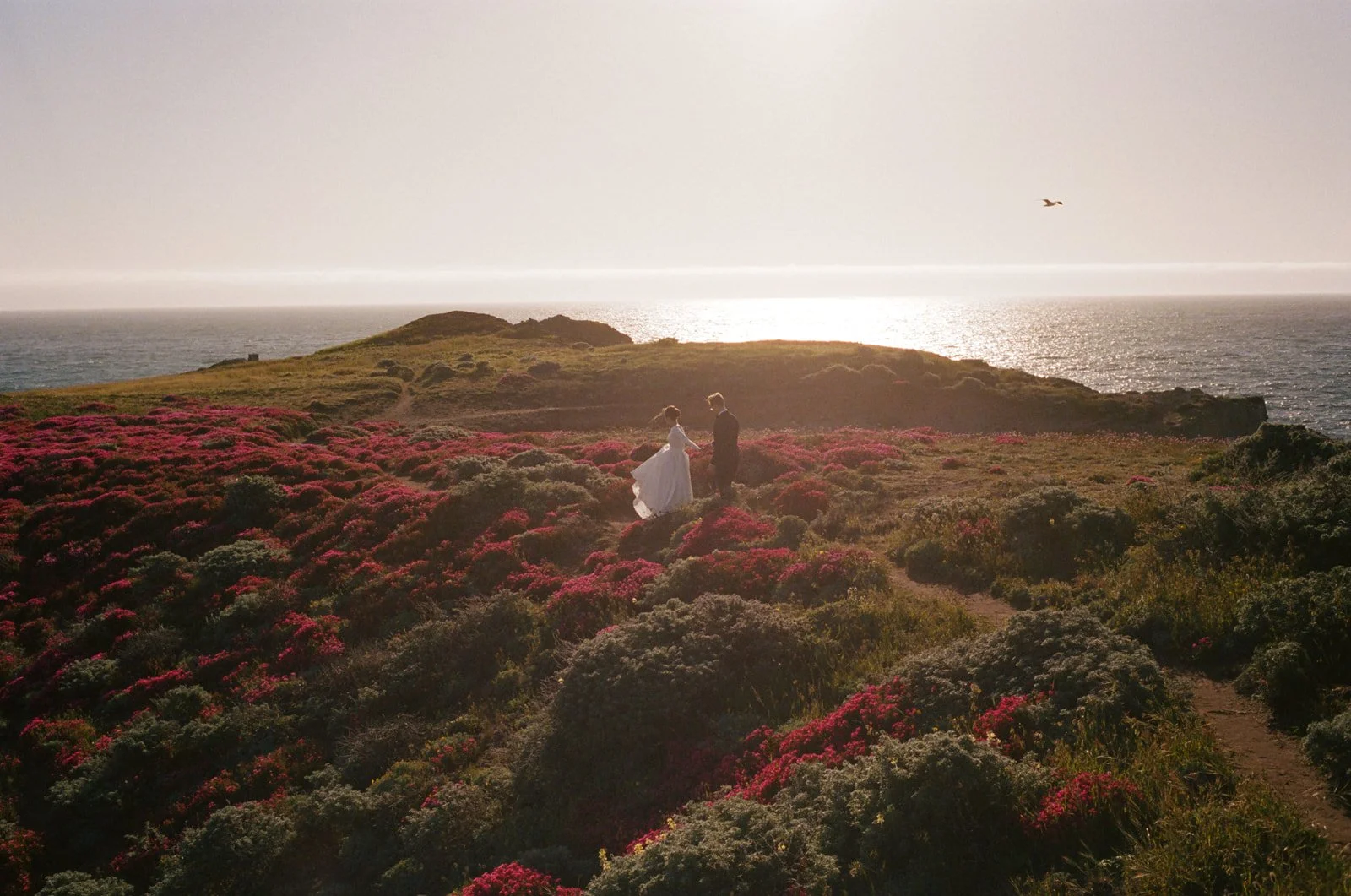 Perle & Jayden - Wedding Preview-4.jpg