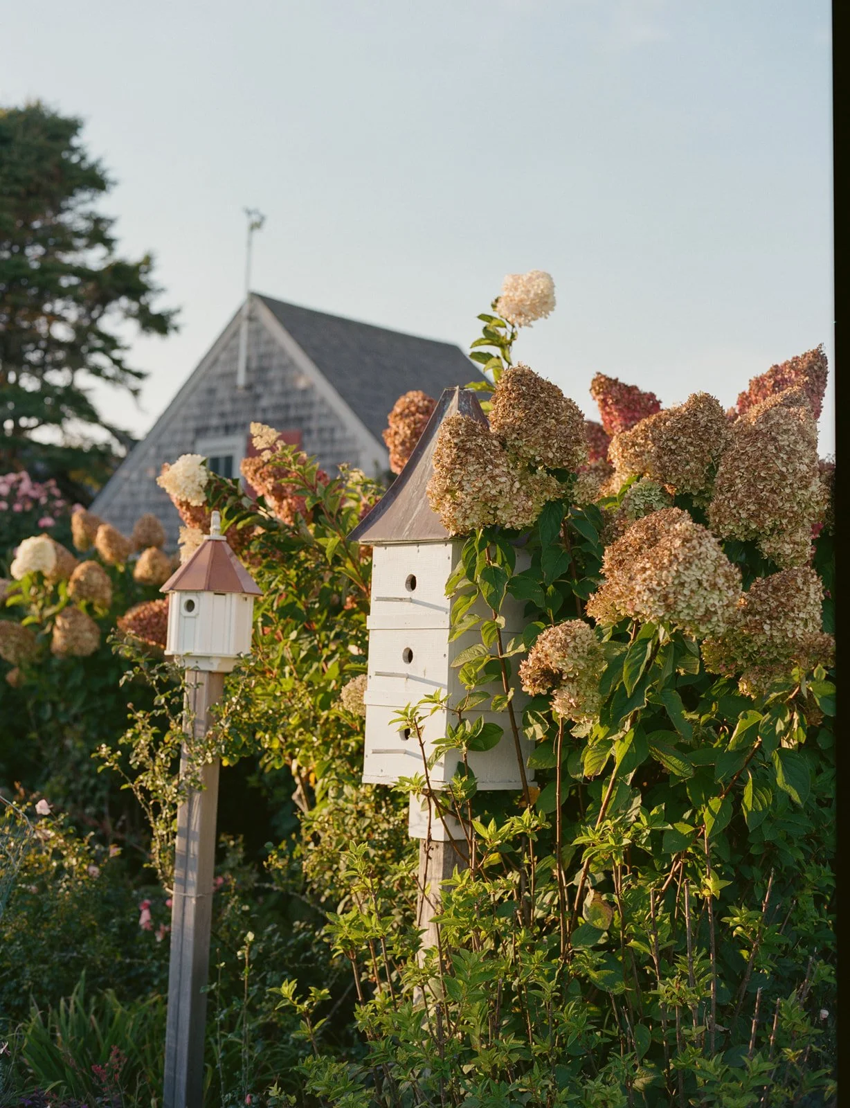 Lainey & Daniel Wedding-3.jpg