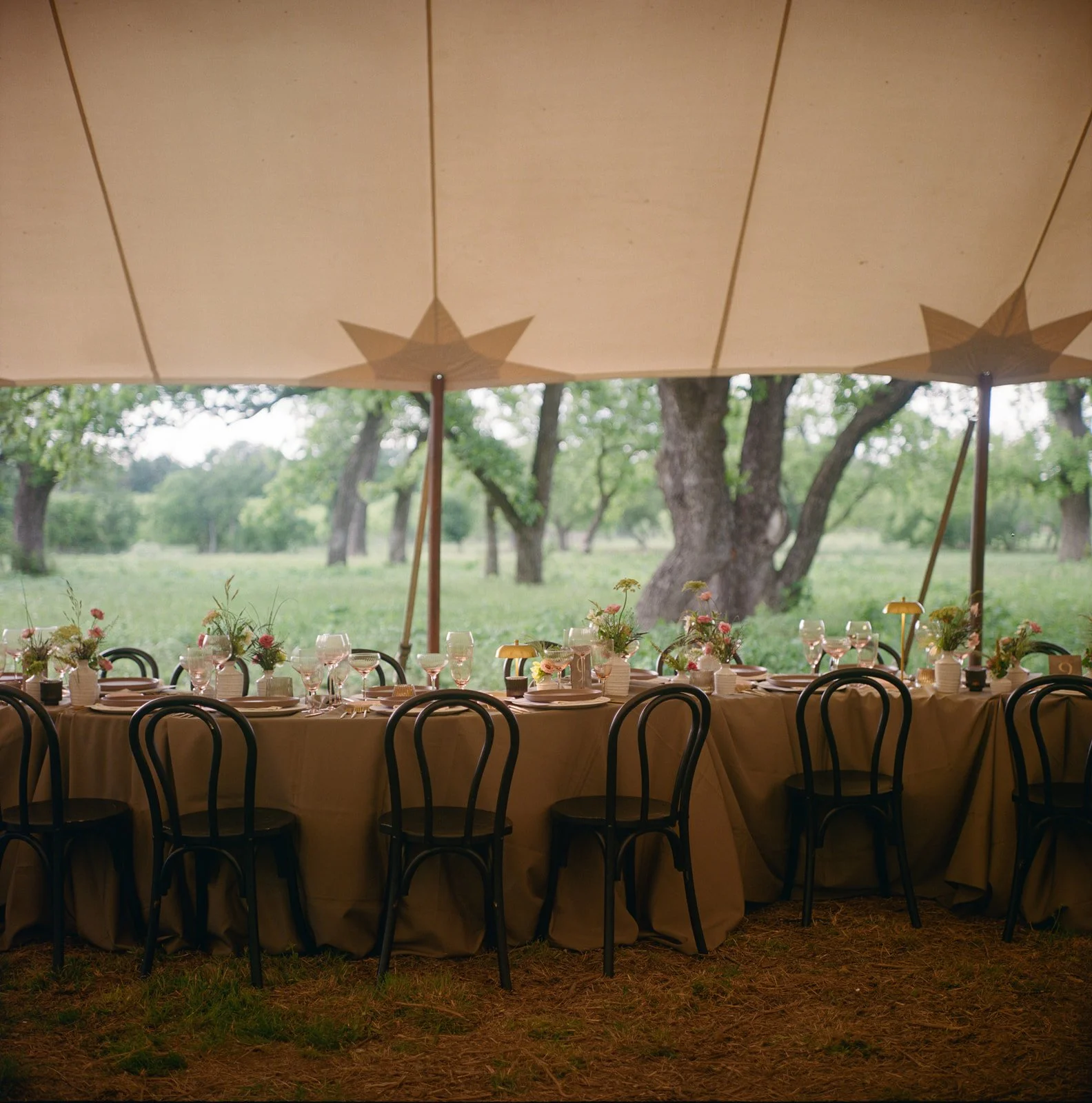 Mia & Alex Wedding-841.jpg