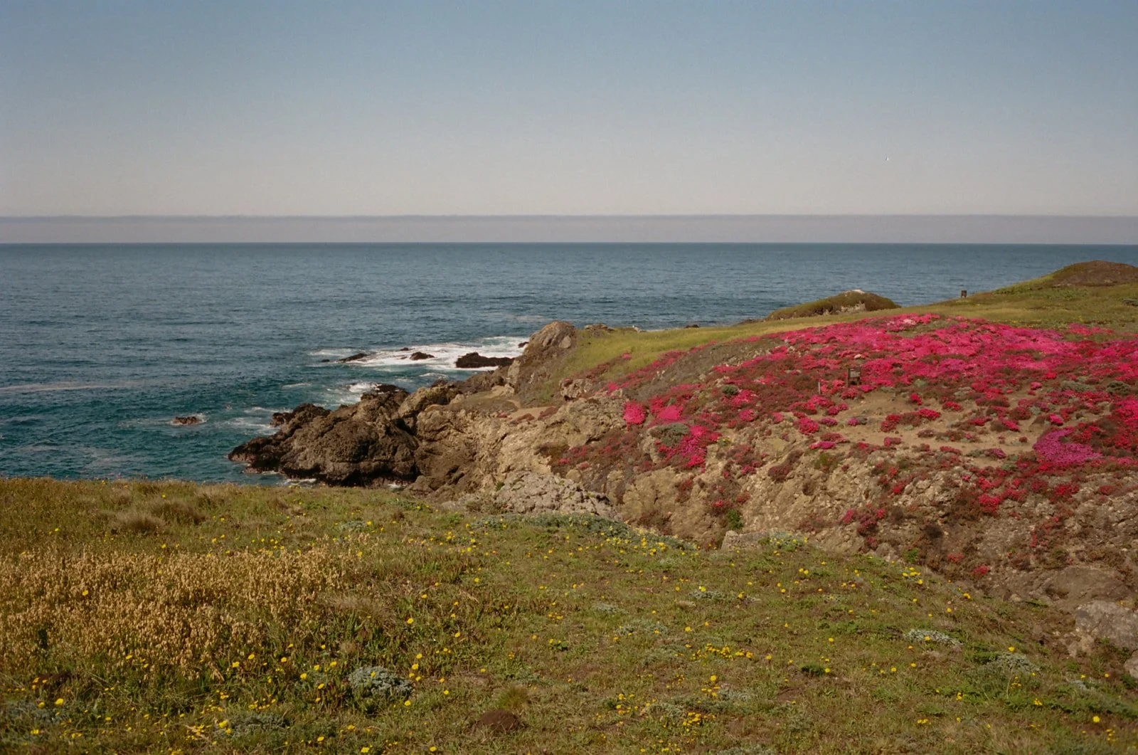 intimate-wedding-sea-ranch-california-film-photographer-28.jpg
