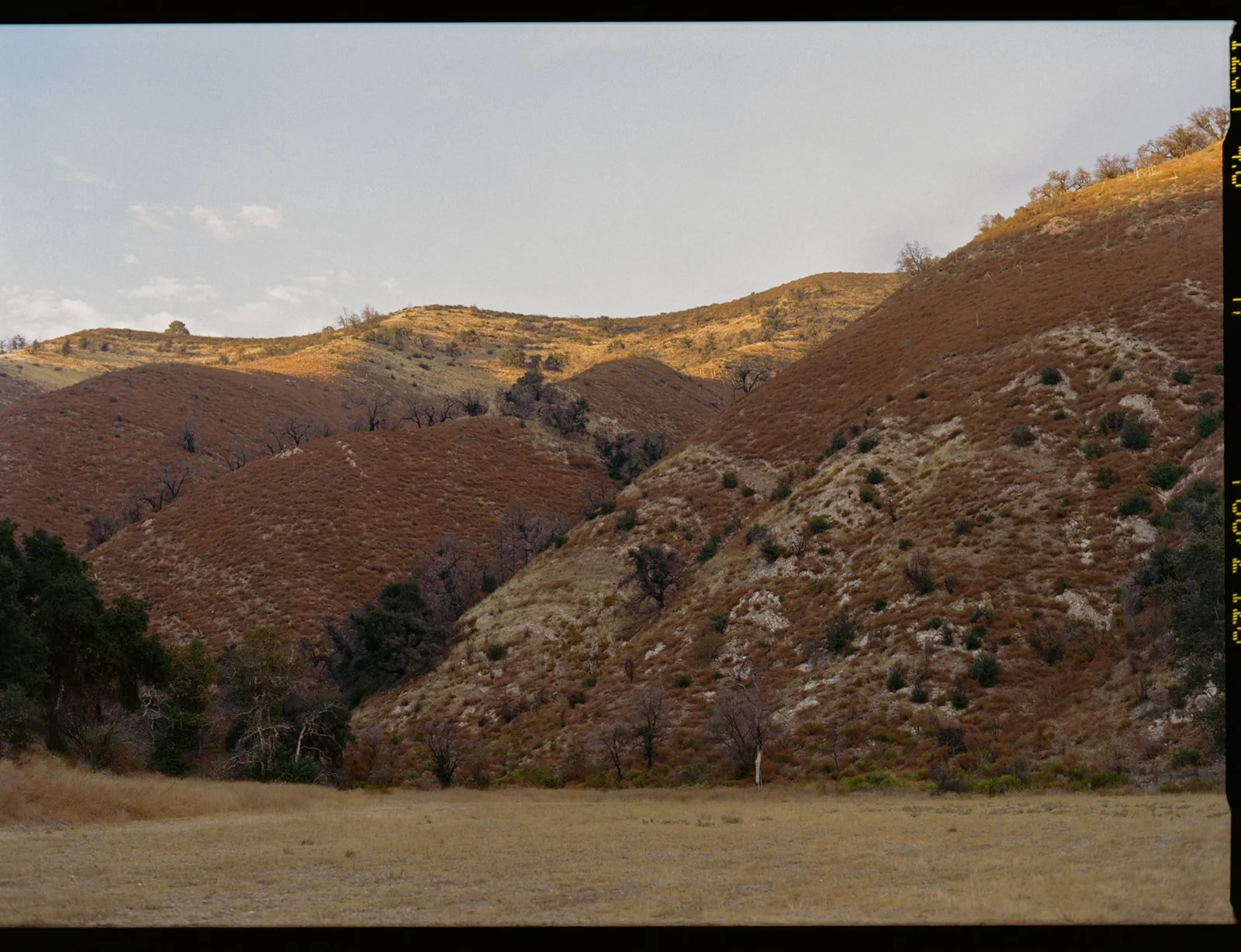 Zaca-Lake-Film-Wedding-Photographer-California-Santa-Ynez-Documentary-80.jpg