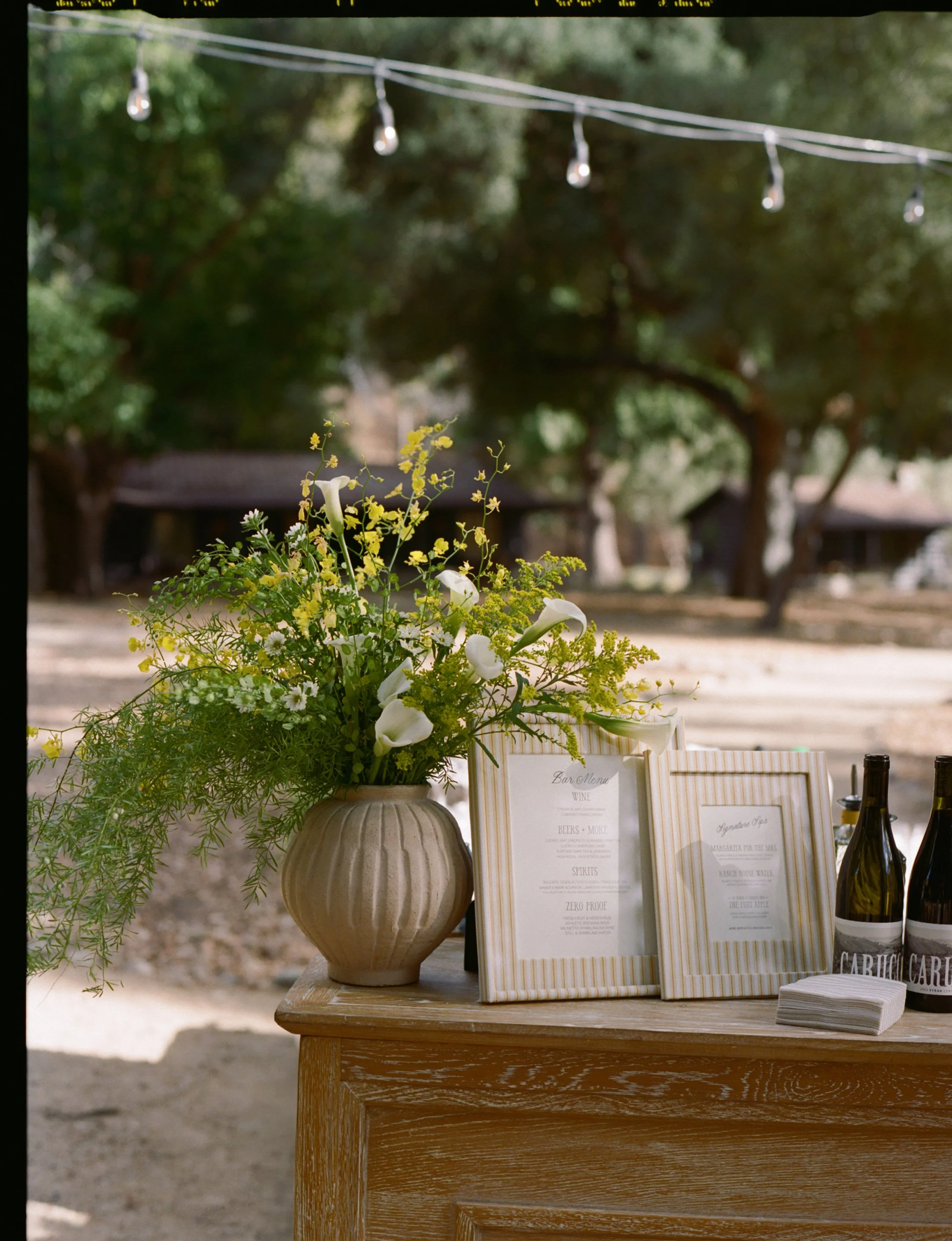 Diana & Andrew Previews-23.jpg