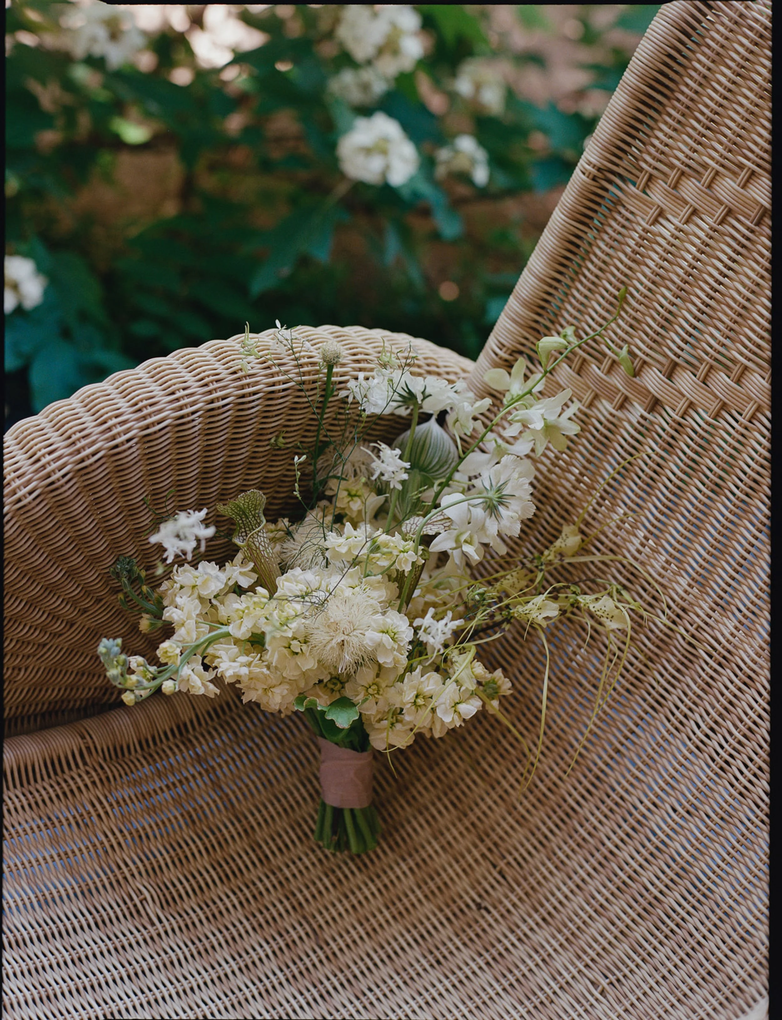 Best-Film-Wedding-Photographer-Documentary-Austin--13.jpg