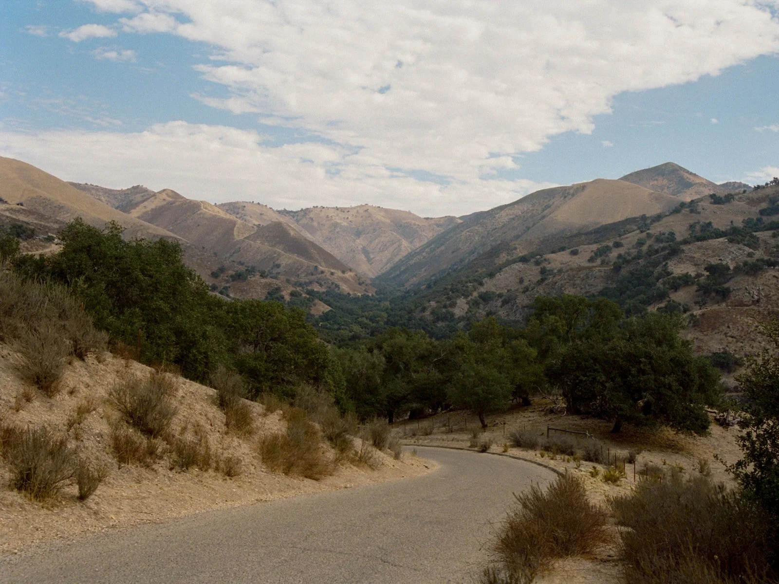 Zaca-Lake-Film-Wedding-Photographer-California-Santa-Ynez-Documentary-7.jpg