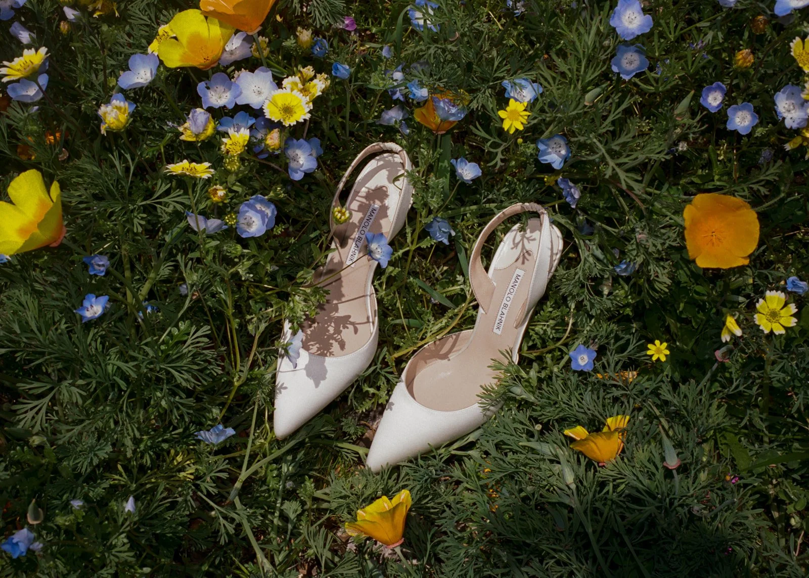 intimate-wedding-sea-ranch-california-film-photographer-18.jpg