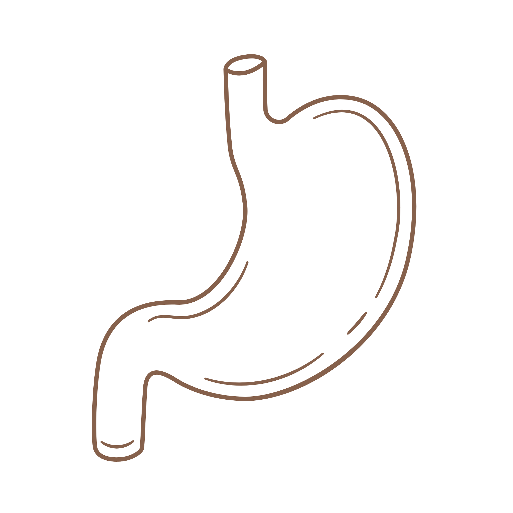 internal organ