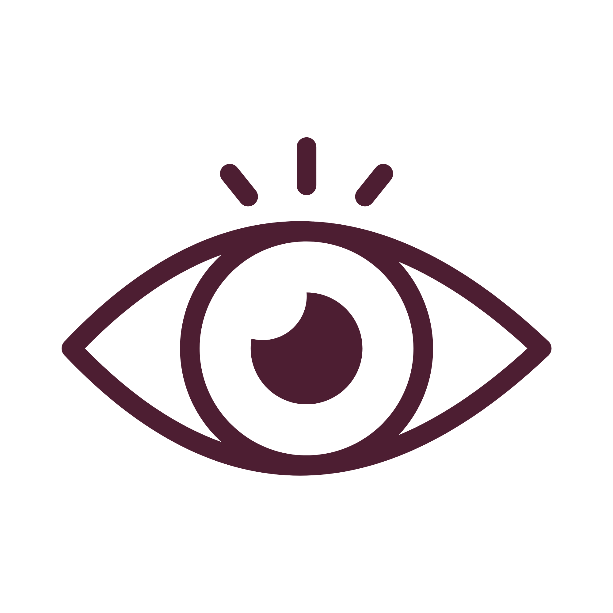 eye icon