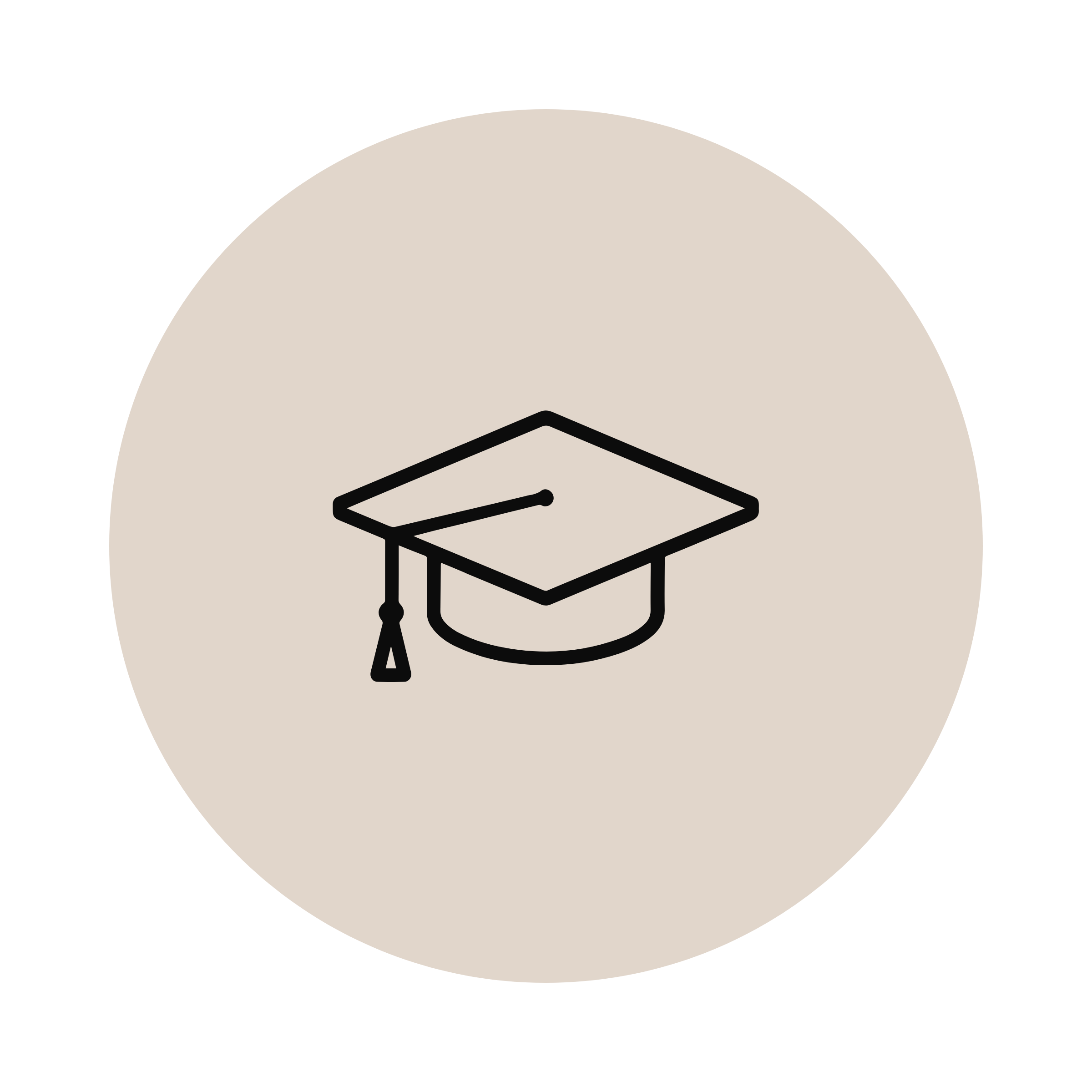 expert education
