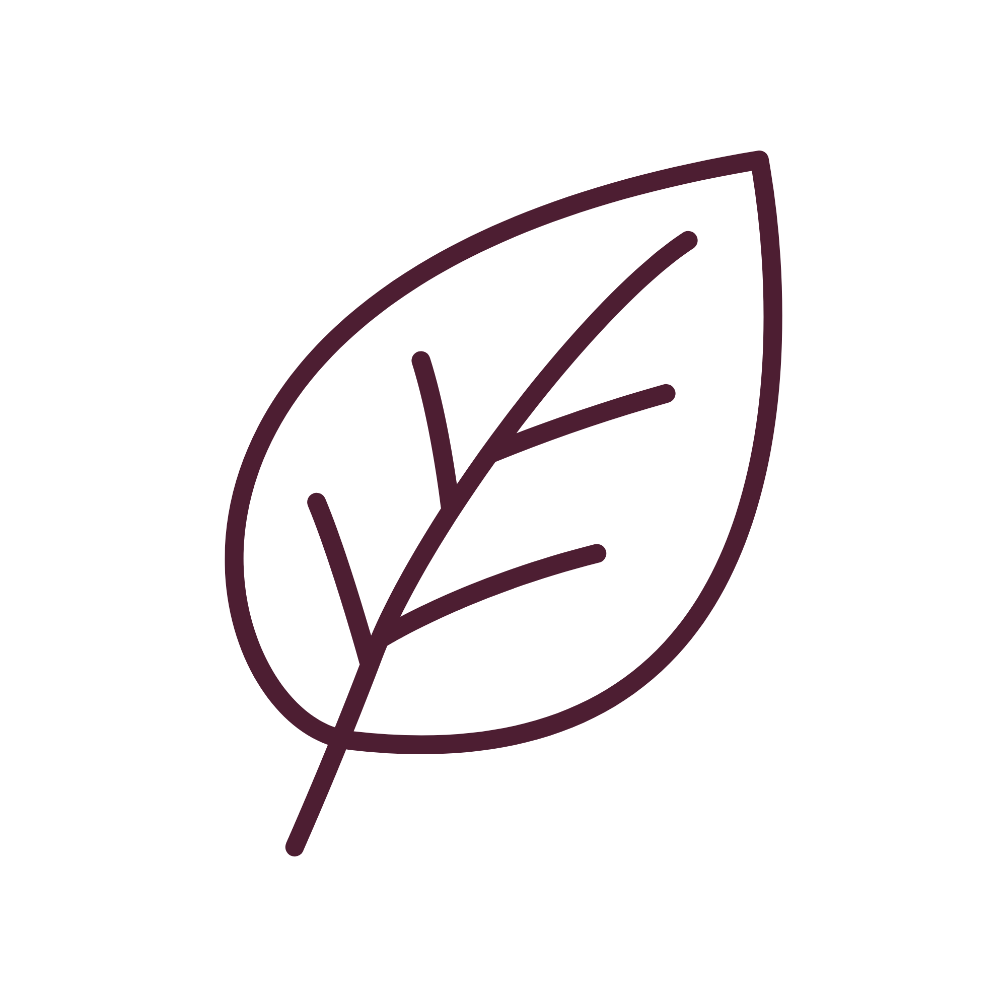 clean icon
