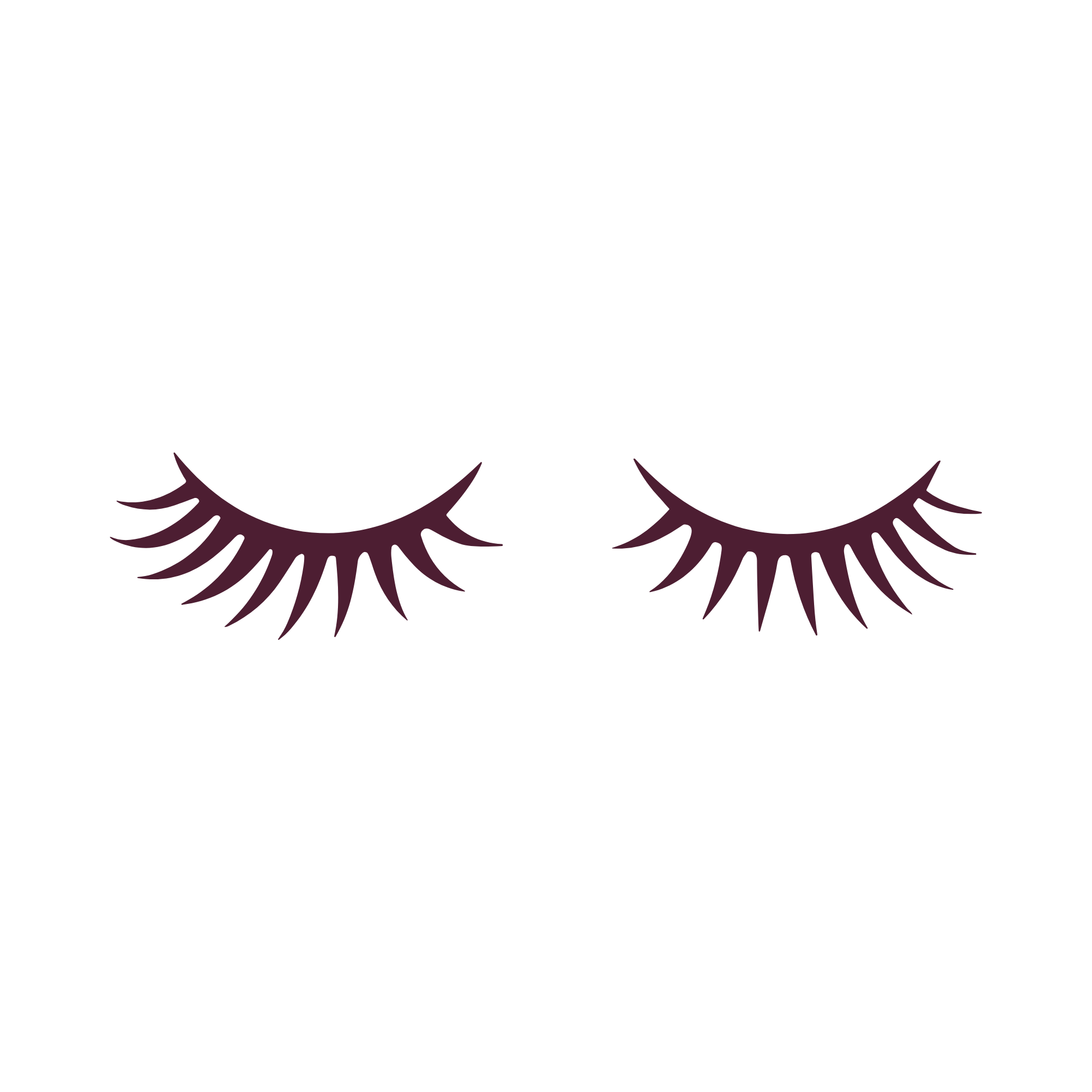 lash icon