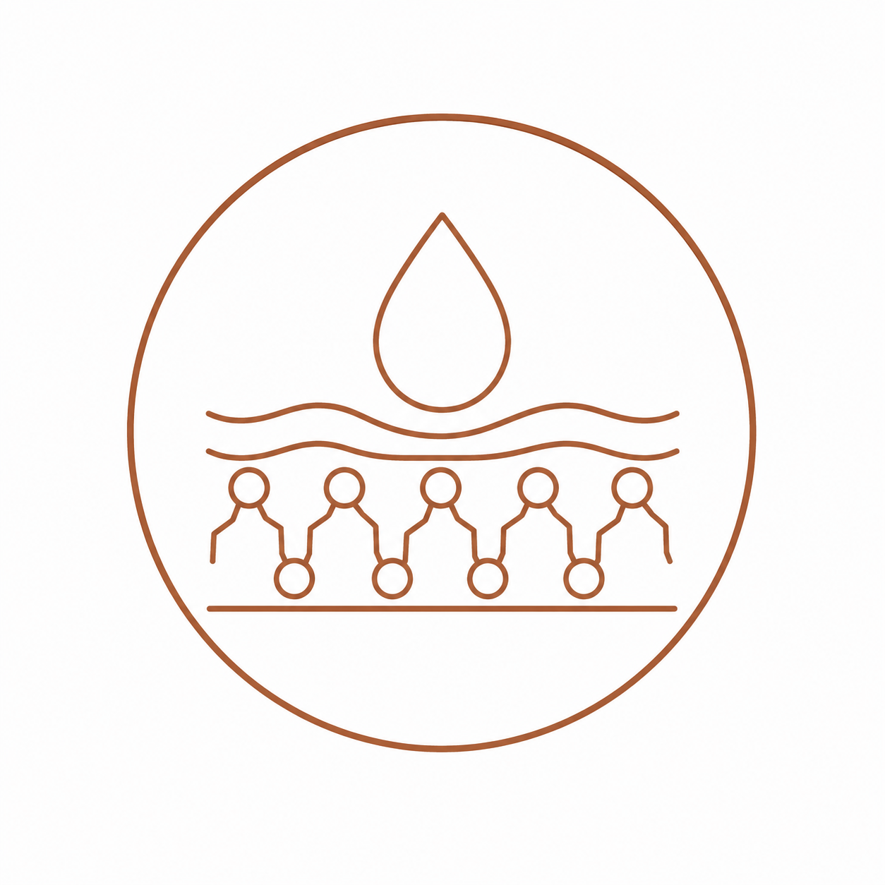 ceramides icon