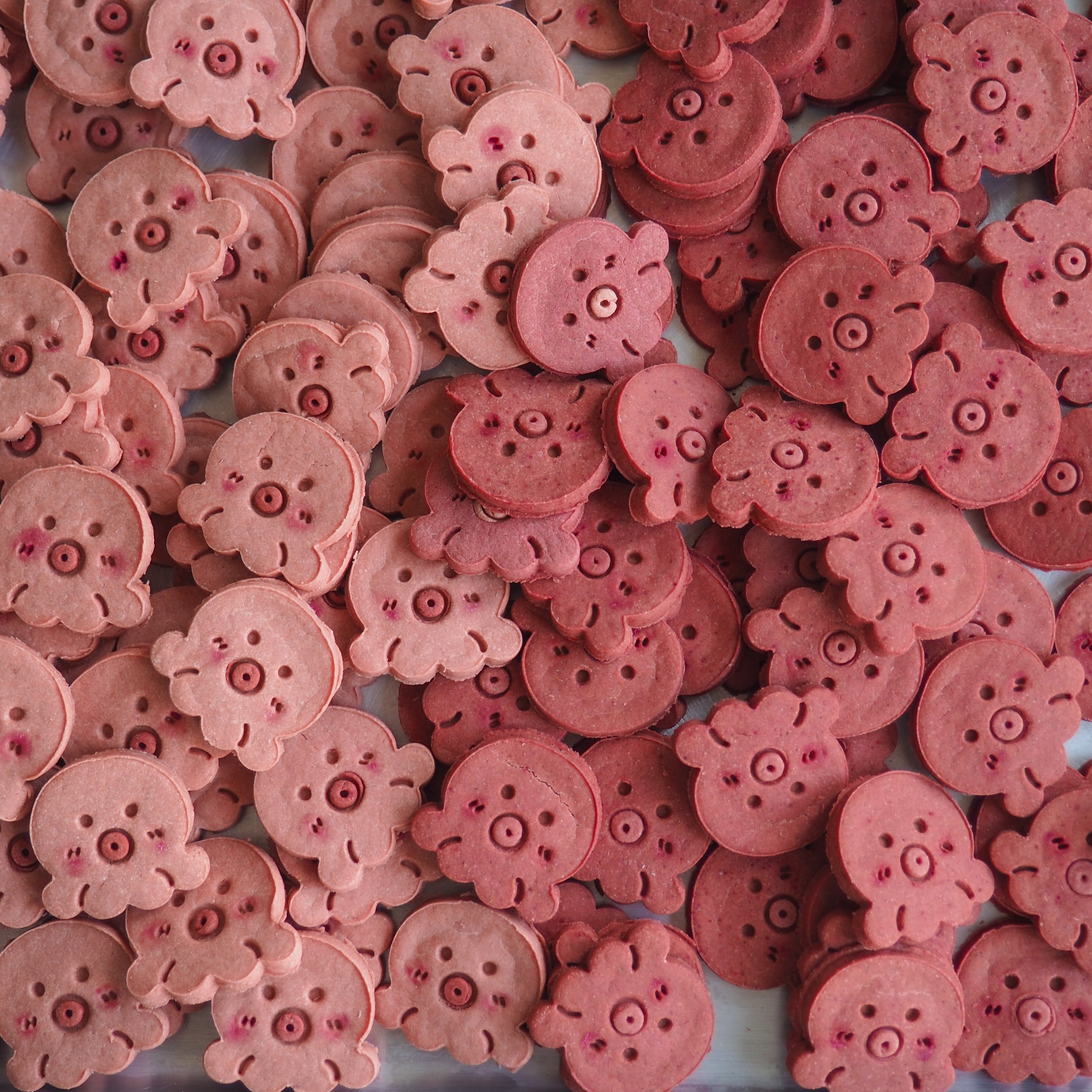Octo-Pals Cookies