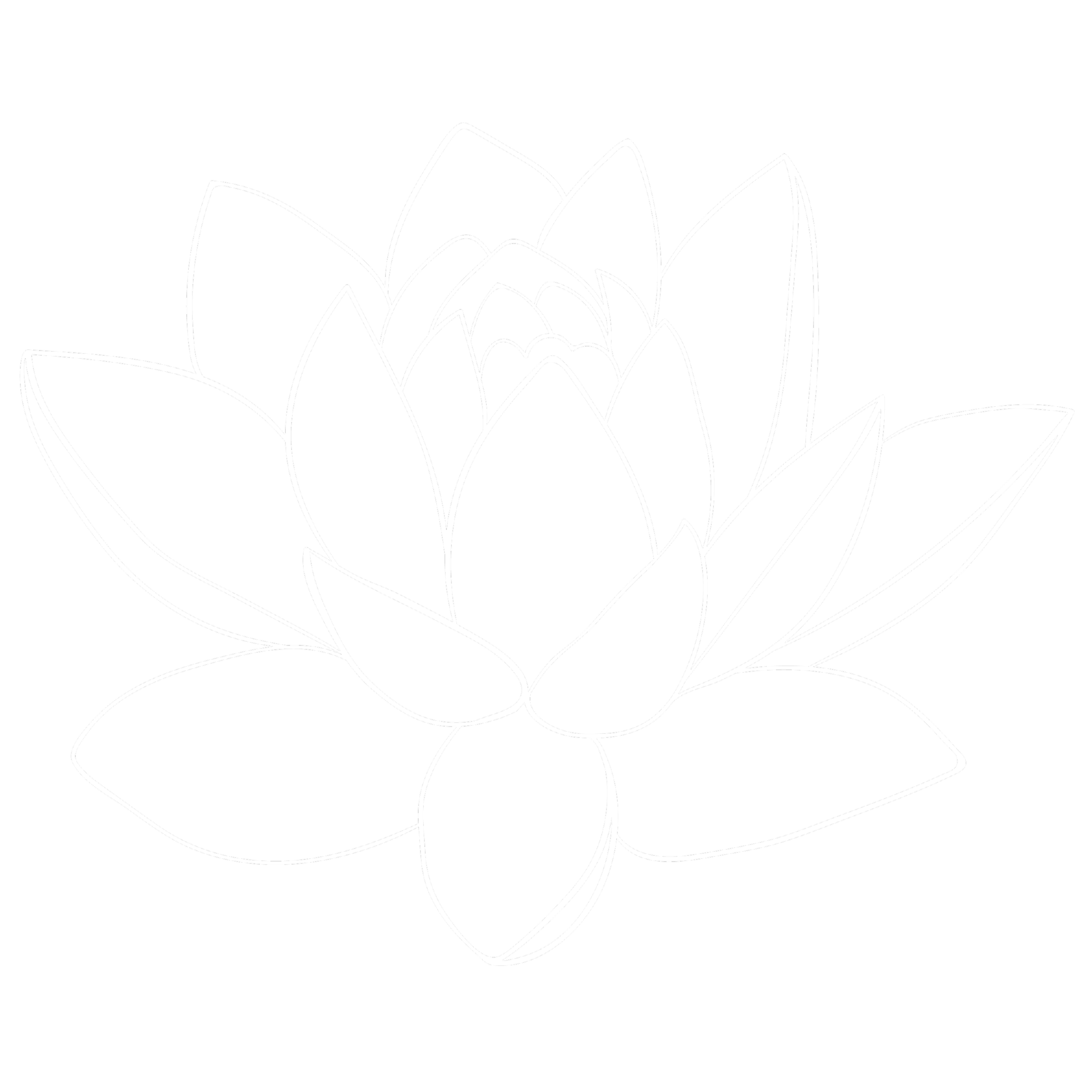 Our Approach-Dublin Ohio — Lotus Counseling Collective