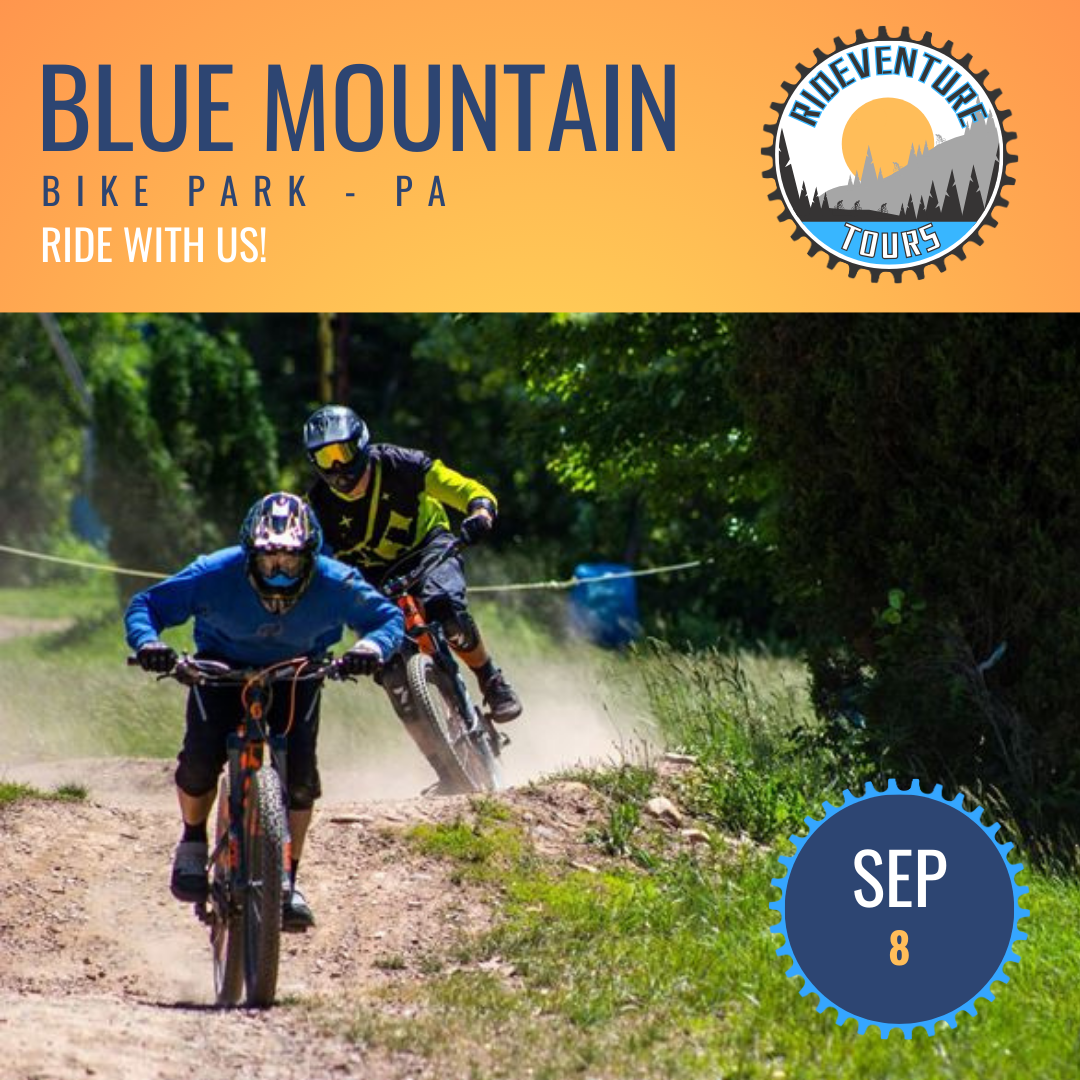 Bike Trails Blue Mountain Bicycle Tours E-Bike Hire: Northern