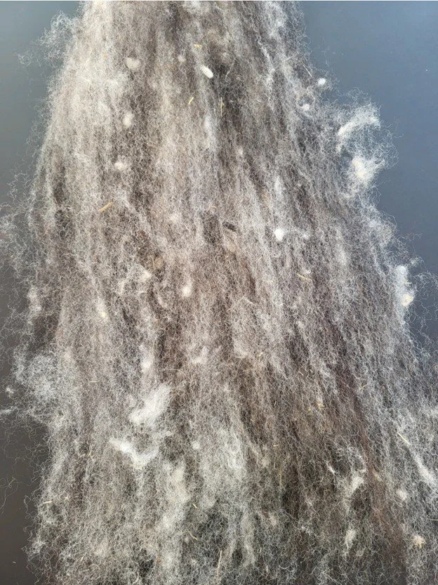 Wool Carded.jpg