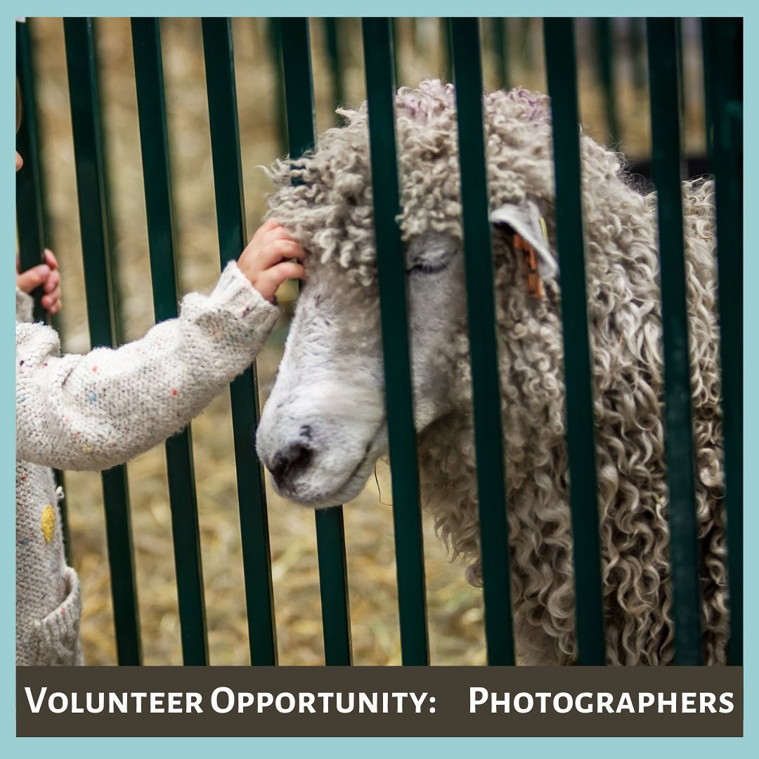 Help us capture the magic! We are looking for a team of photographers to document the Festival: the people and animals, colours and textures, the moment when someone learns a new skill or shares a laugh with a friend. 

Please check the website or em
