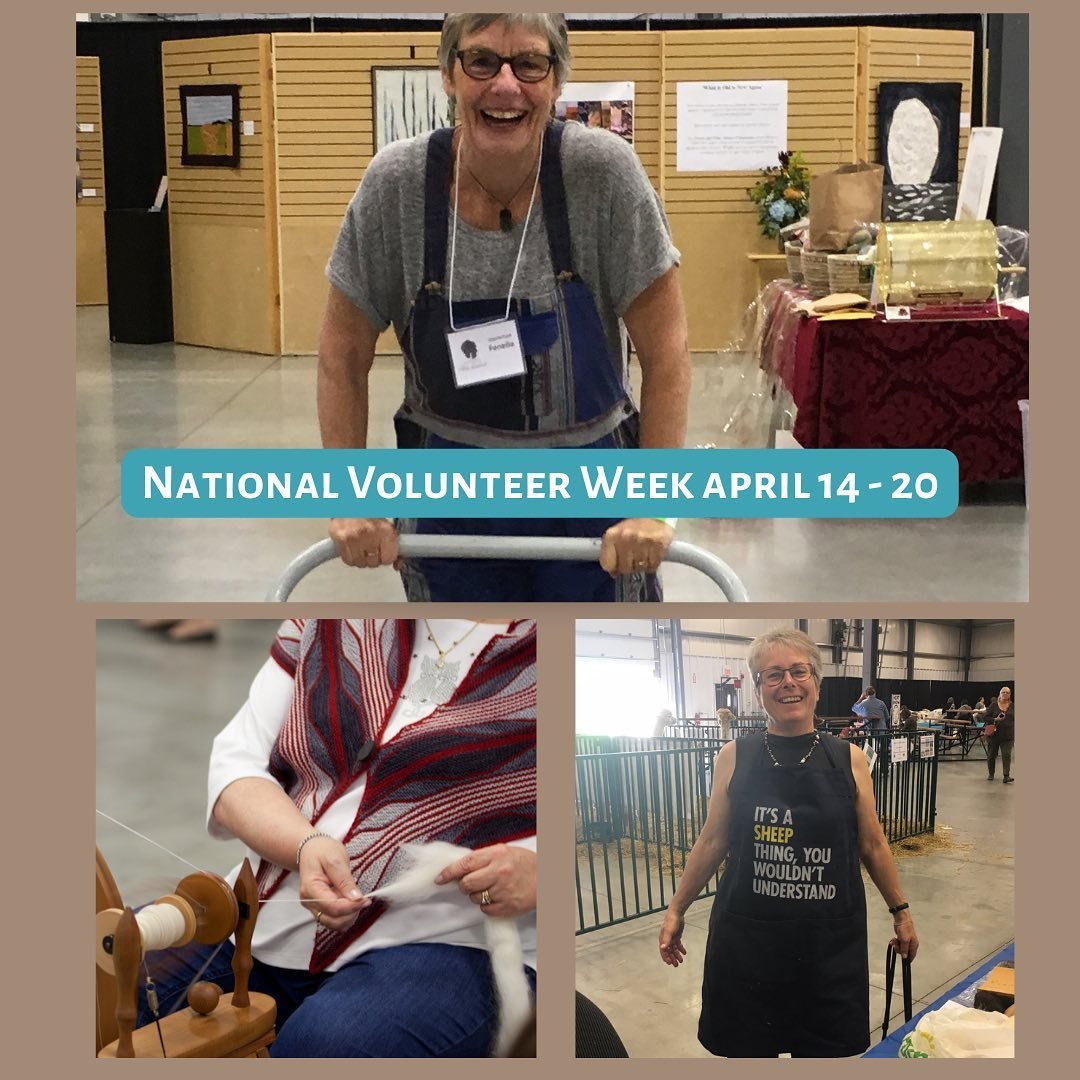 The Manitoba Fibre Festival is entirely volunteer run, from the planning team to the over one hundred volunteers who make the event run smoothly every year. Behind the scenes, volunteers set up the show, look after vendors and teachers and animals an