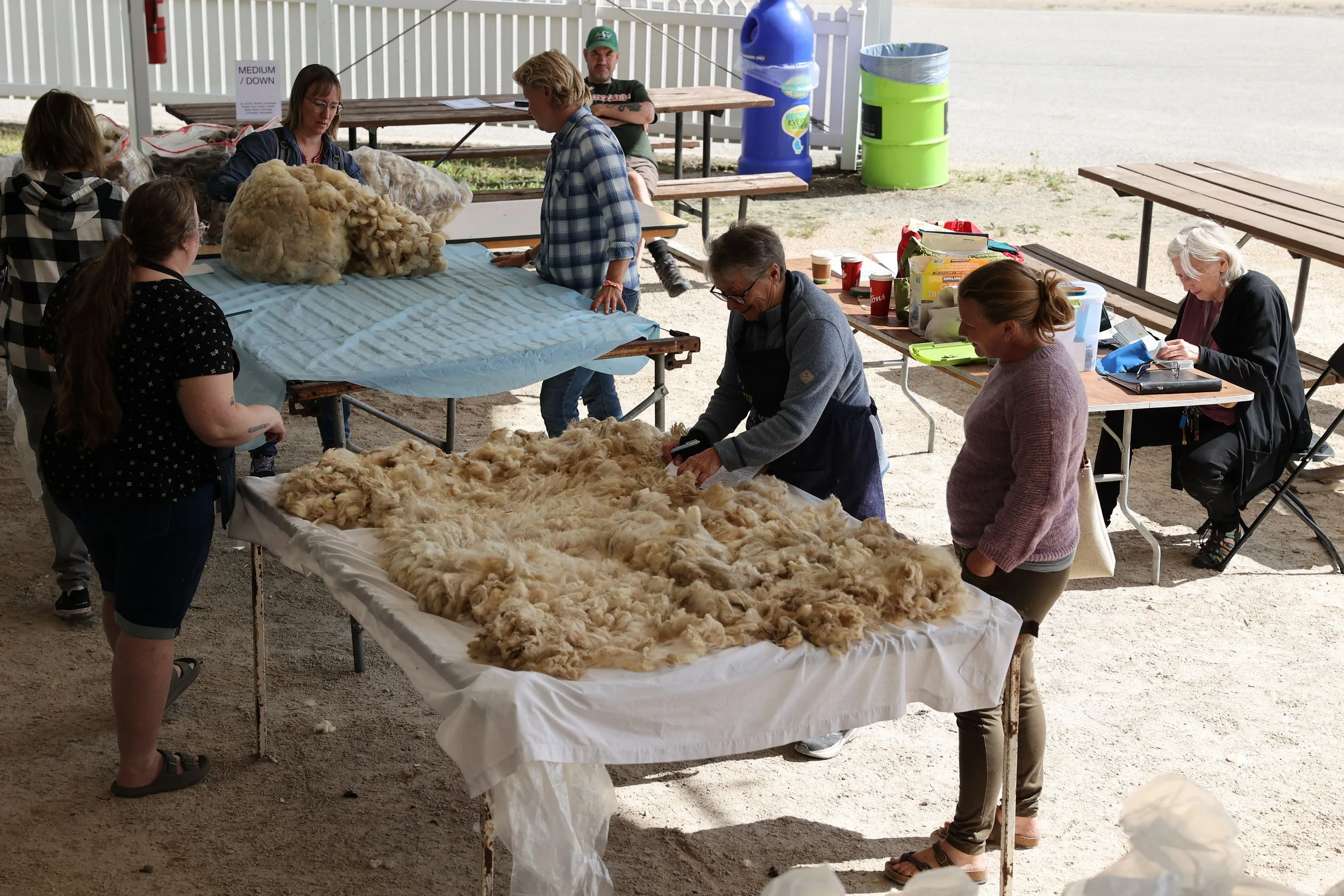 Wool Show and Sale — Manitoba Fibre Festival