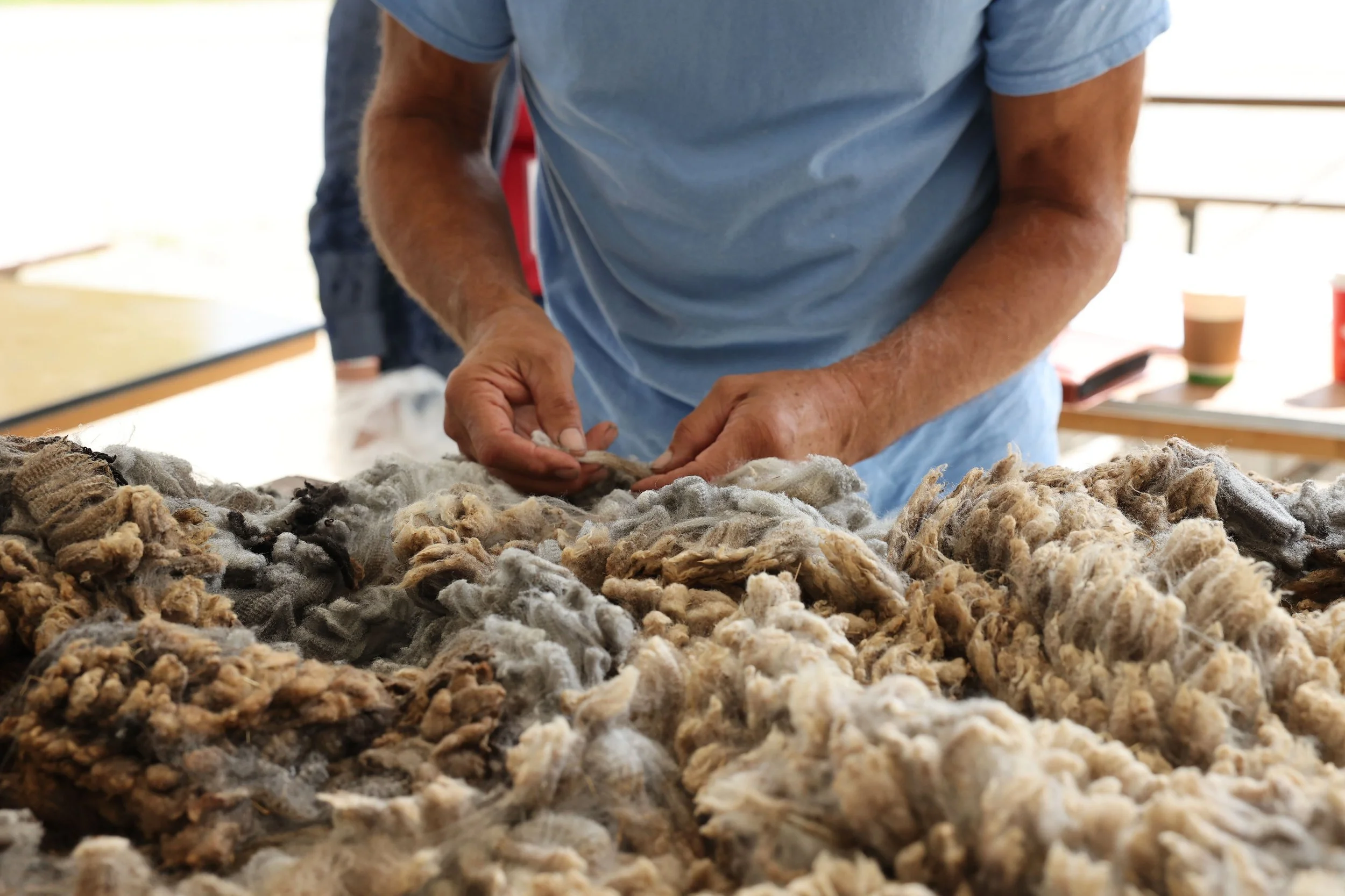 Wool Show and Sale — Manitoba Fibre Festival