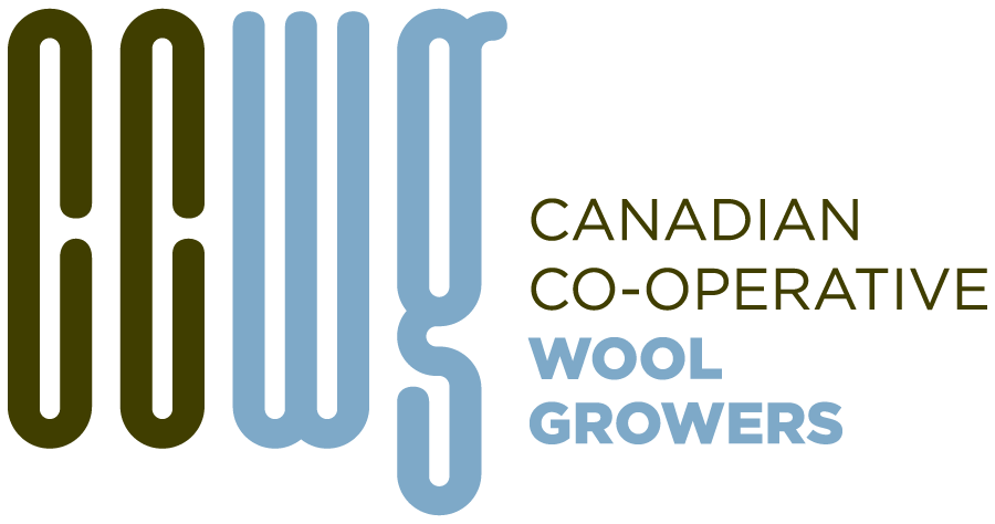 ccwg-logo-horizontal-full-color-rgb-900px-w-72ppi.png