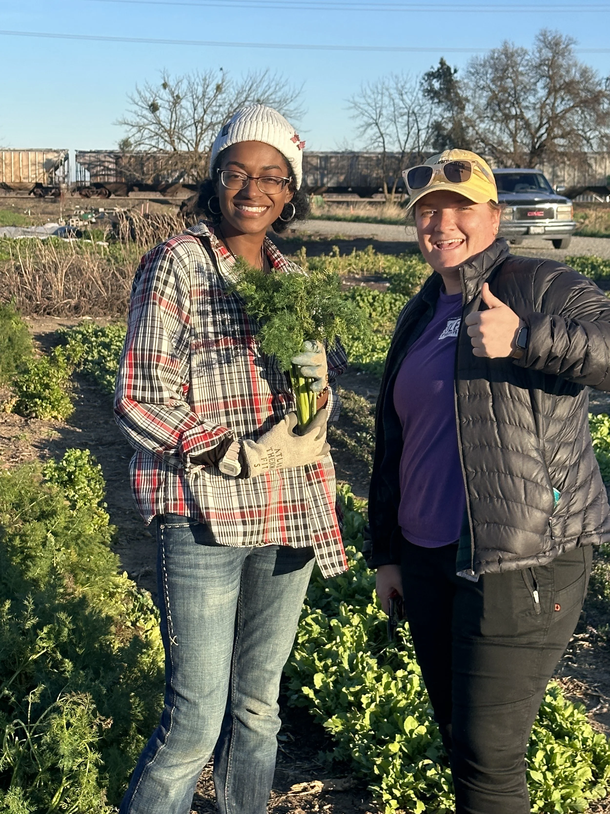 Allie and Nyah harvesting.JPG