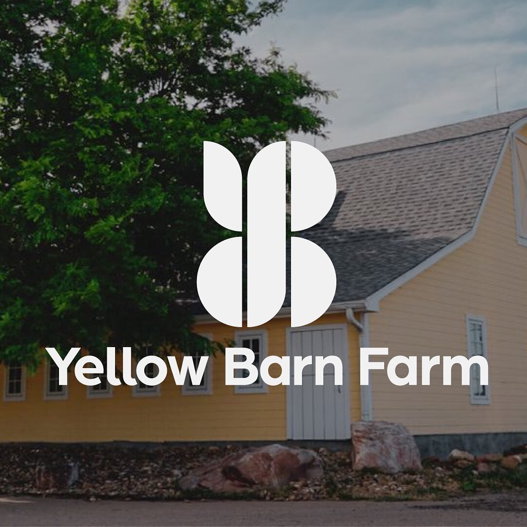 Spring is here on the land. The snow is fading, the ground thawing.

It was with this reawakening in mind that it is finally time to share our new vision at Yellow Barn Farm. It has been an honor to watch such a vibrant community come to life around 