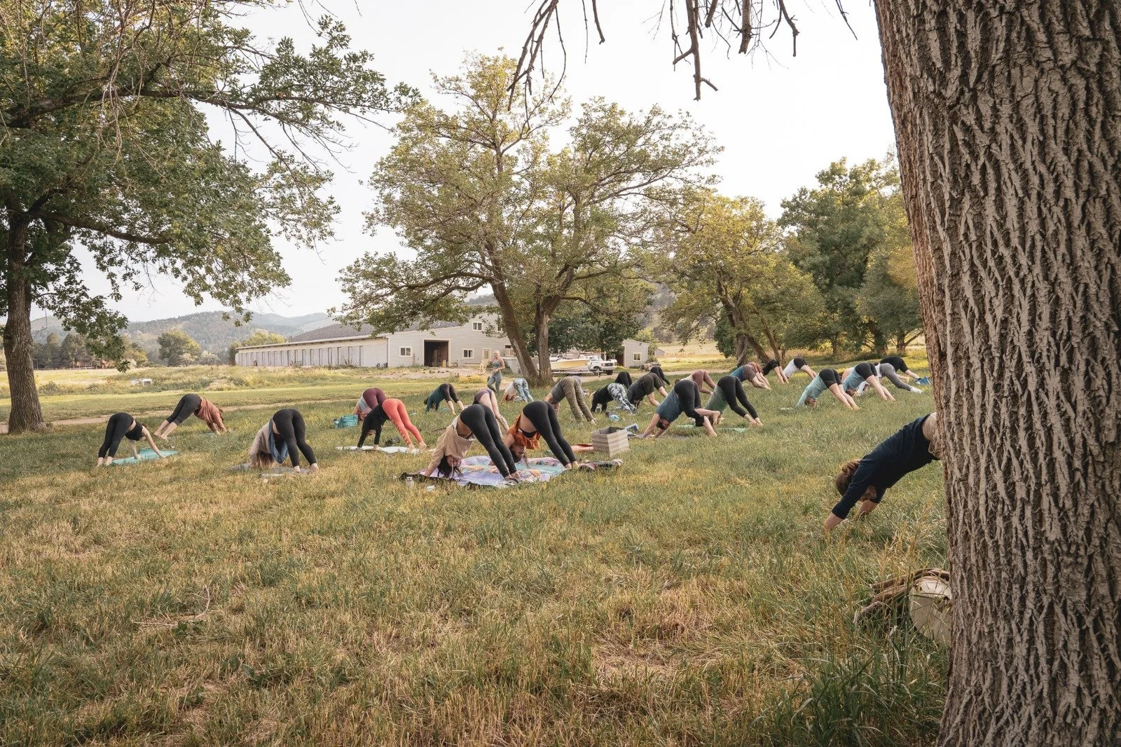 Morning Vinyasa Flow on the Farm